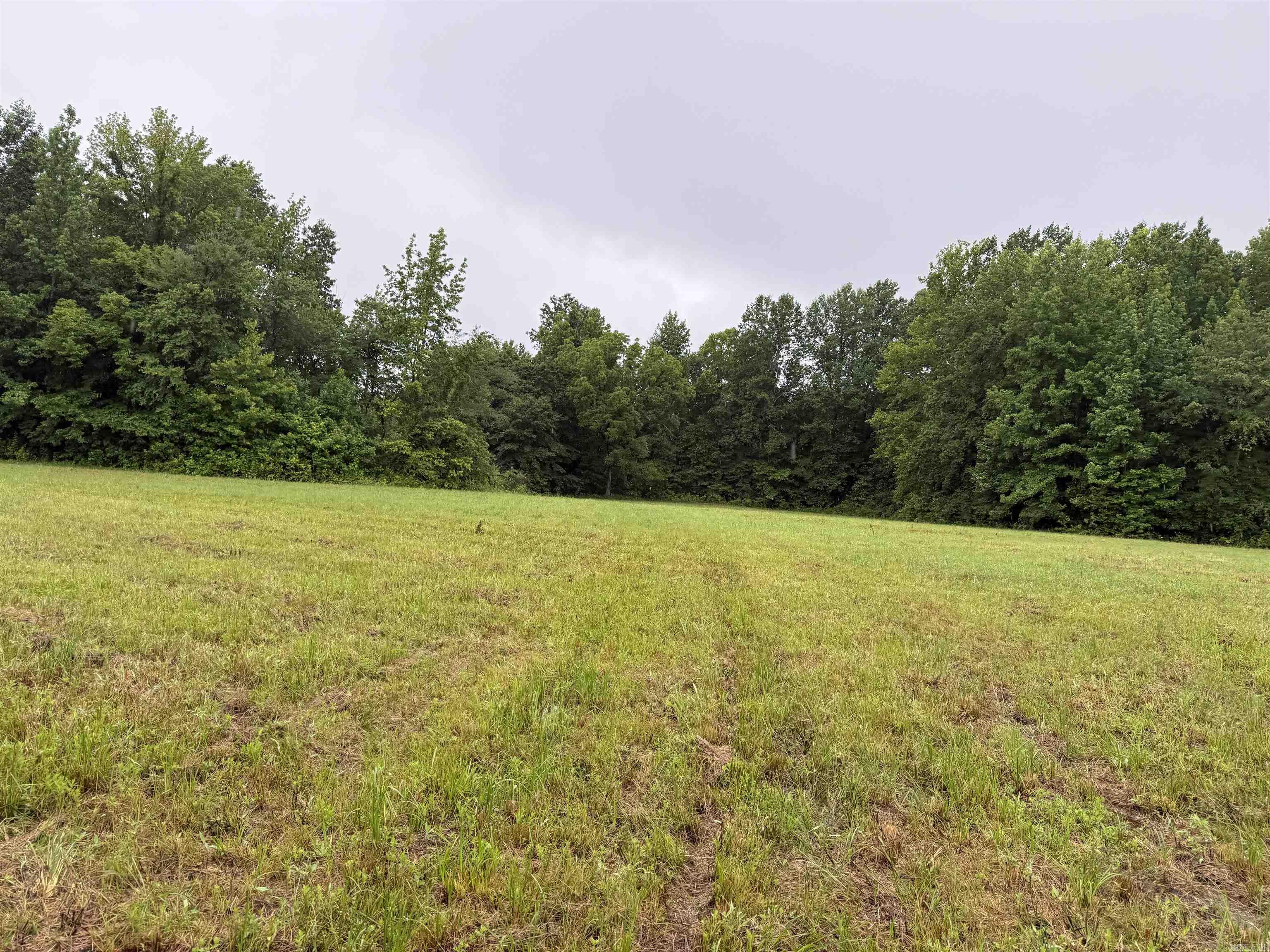 100 Acres Highway 34 West  Beech Grove, AR