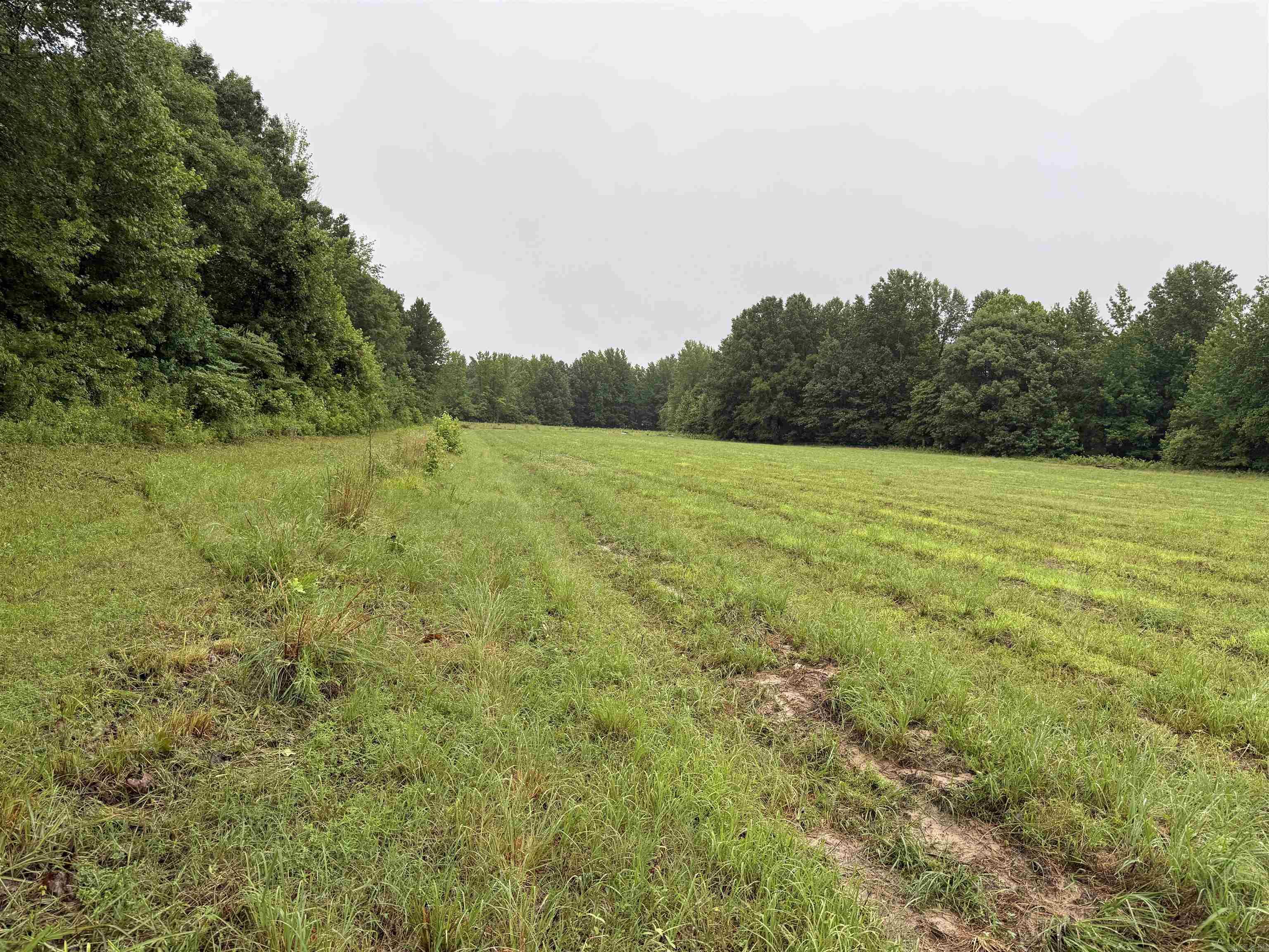 100 Acres Highway 34 West  Beech Grove, AR