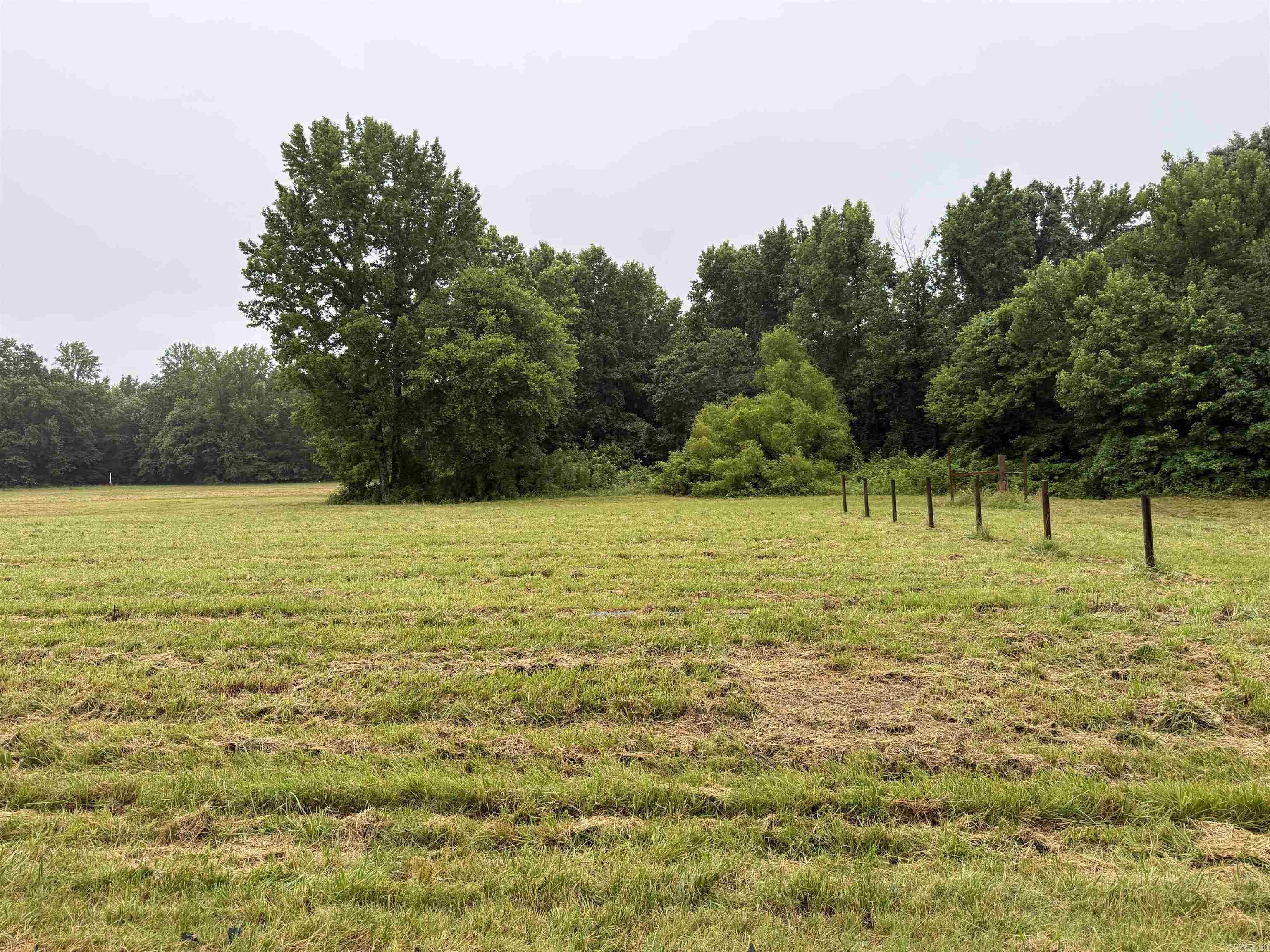 100 Acres Highway 34 West  Beech Grove, AR