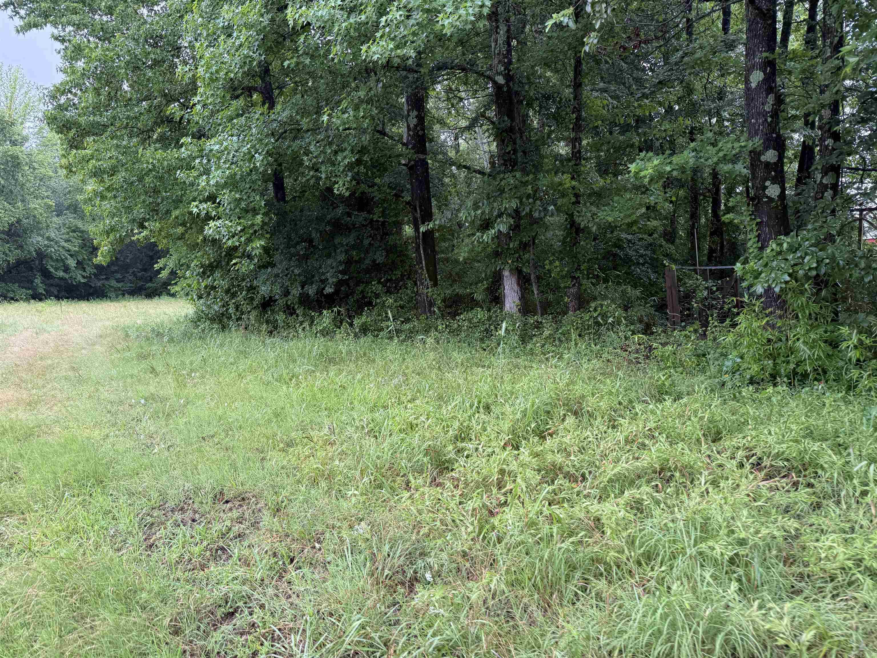 100 Acres Highway 34 West  Beech Grove, AR