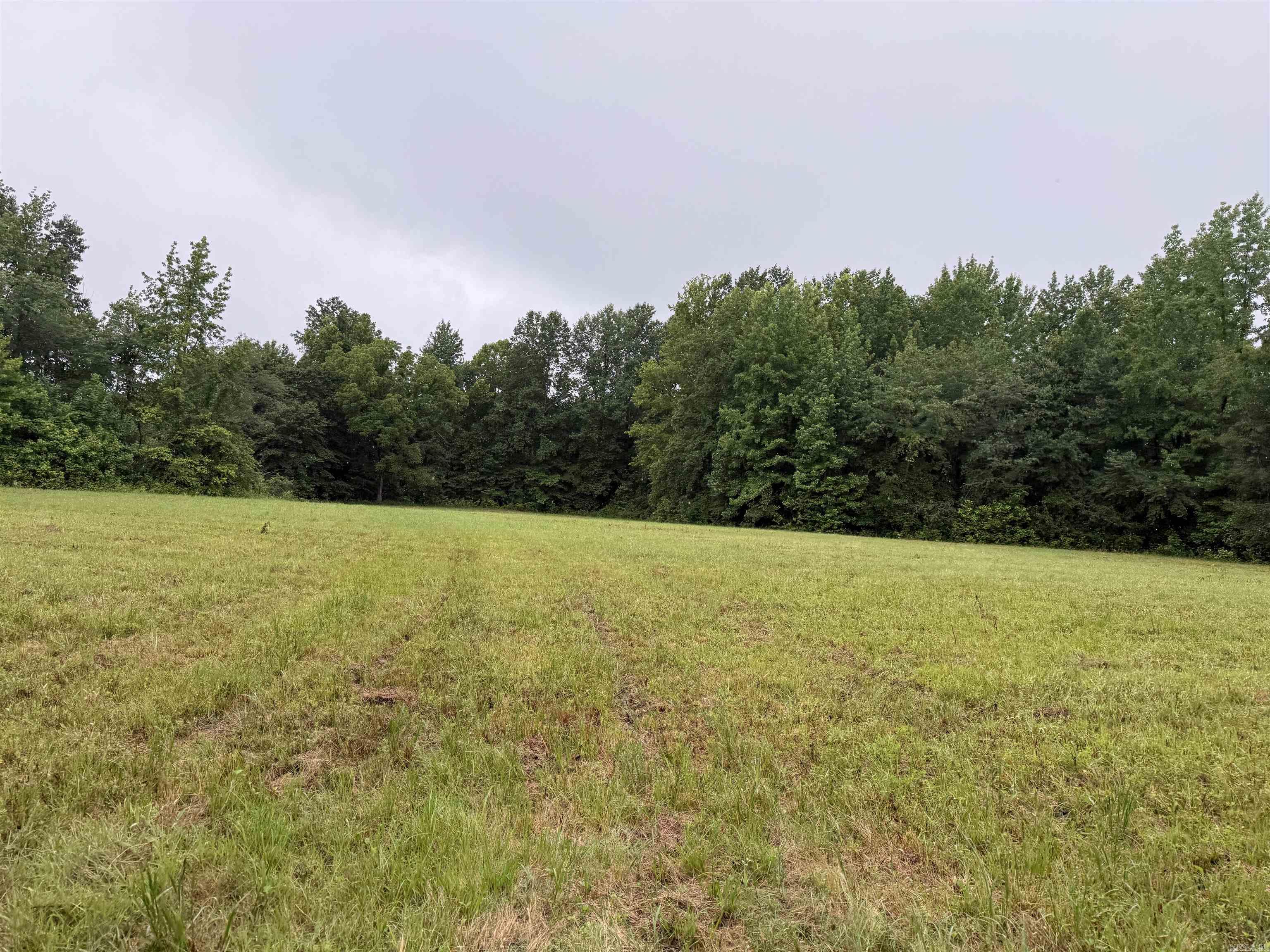 100 Acres Highway 34 West  Beech Grove, AR