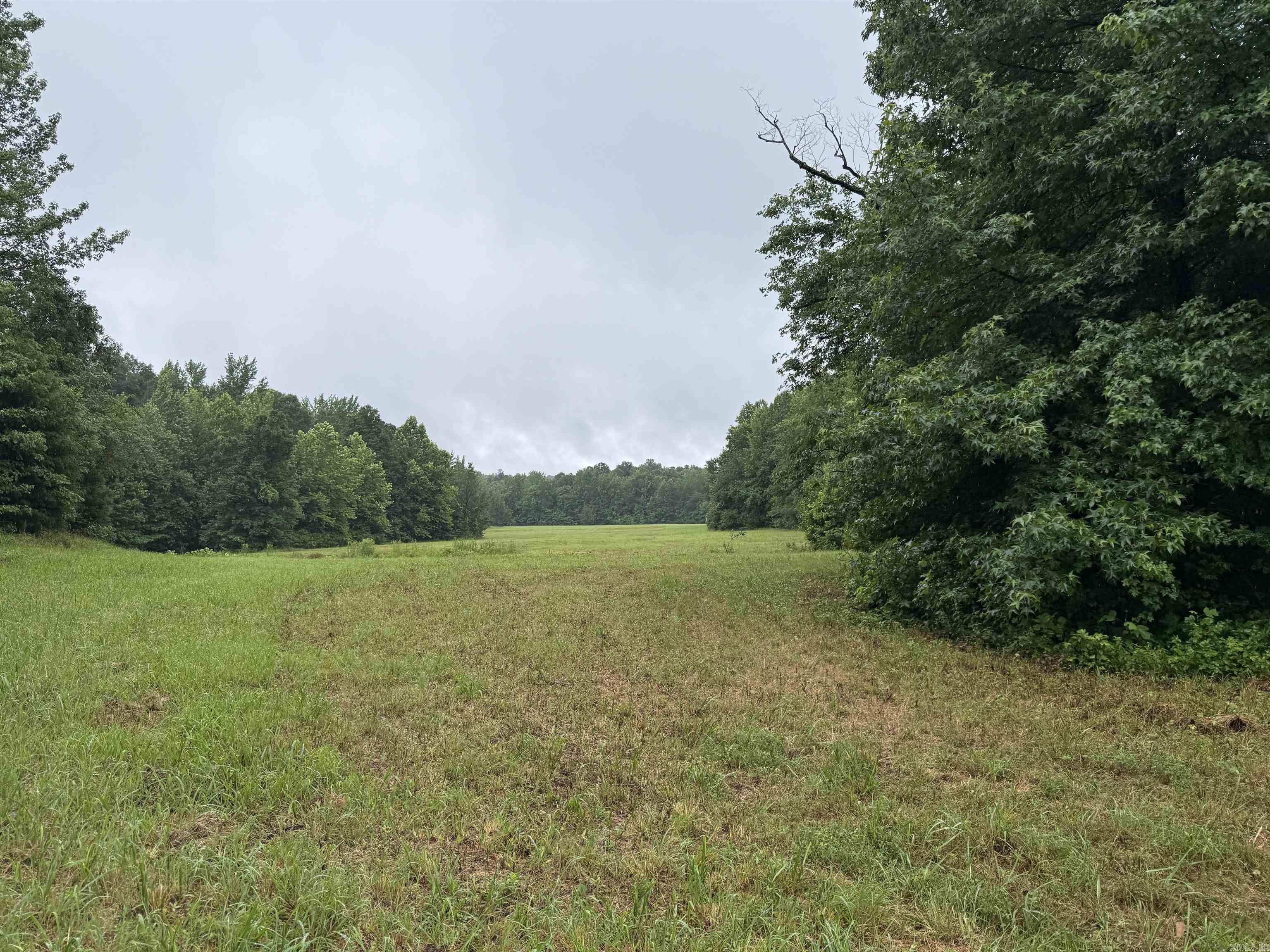 100 Acres Highway 34 West  Beech Grove, AR
