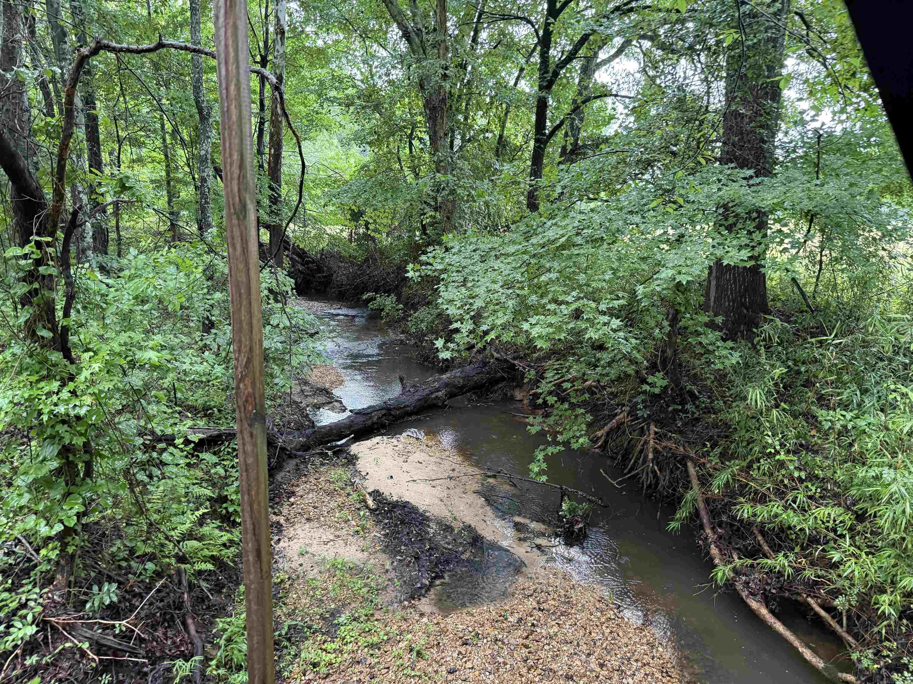 100 Acres Highway 34 West  Beech Grove, AR