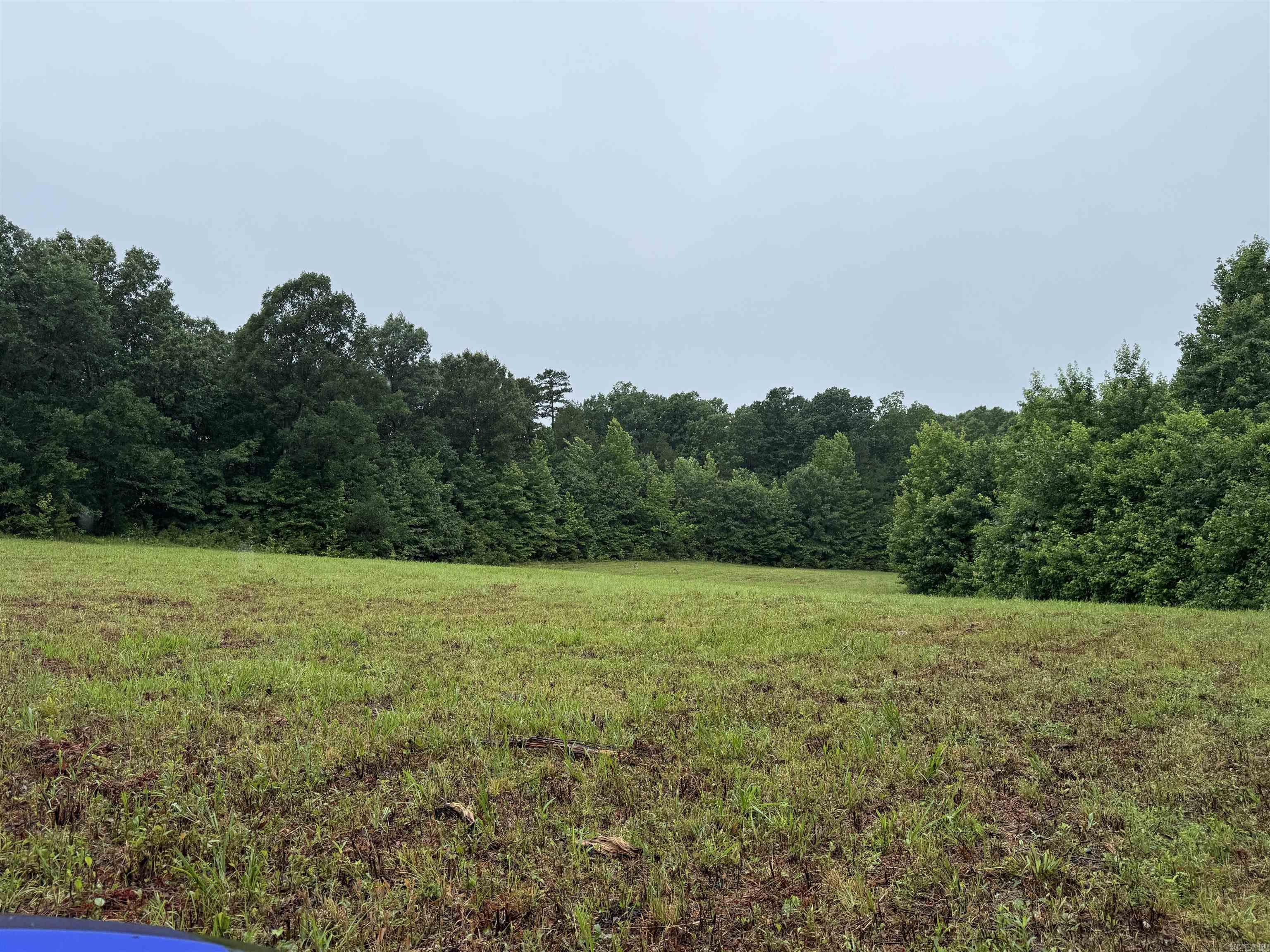 100 Acres Highway 34 West  Beech Grove, AR