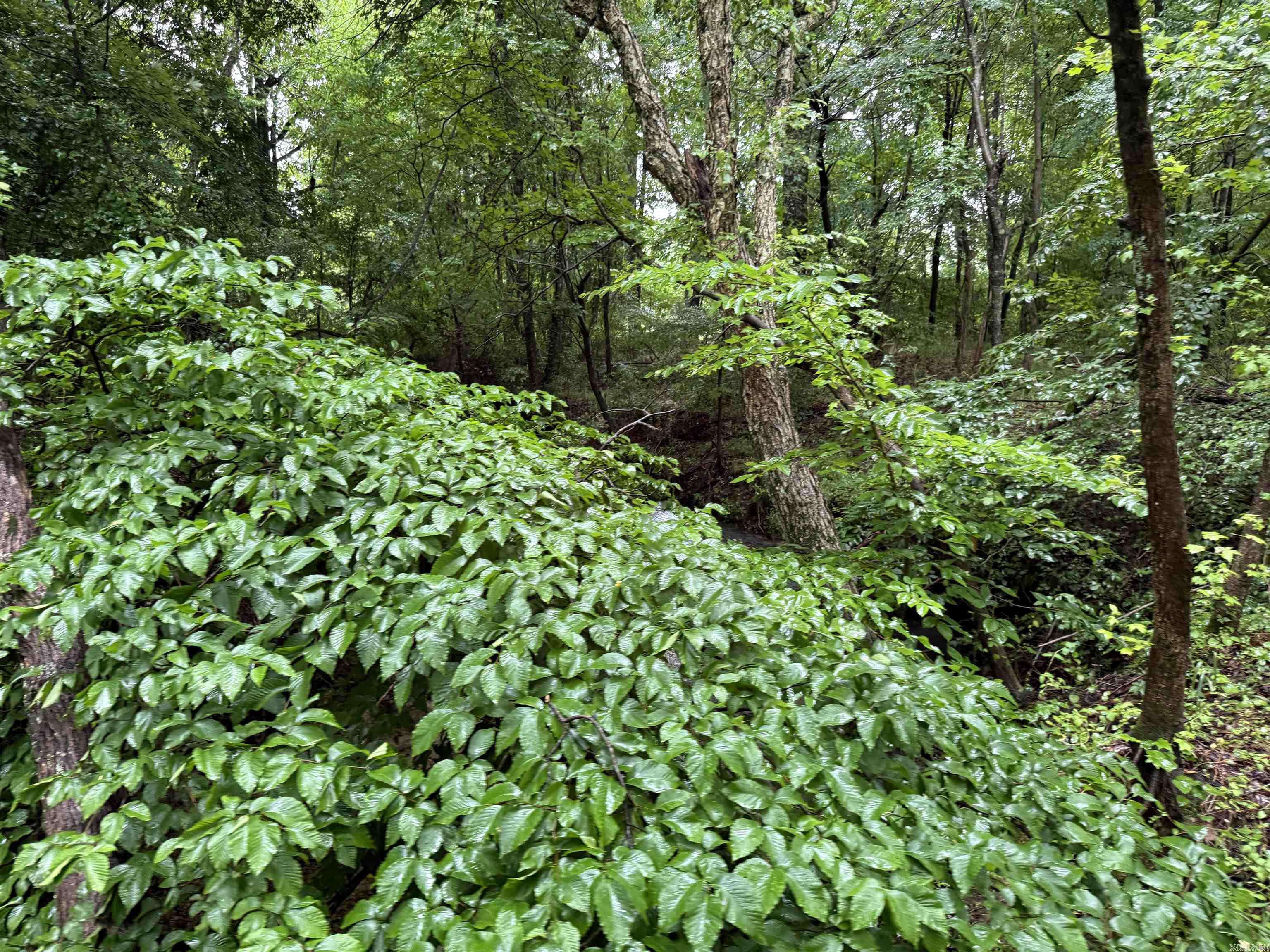 100 Acres Highway 34 West  Beech Grove, AR