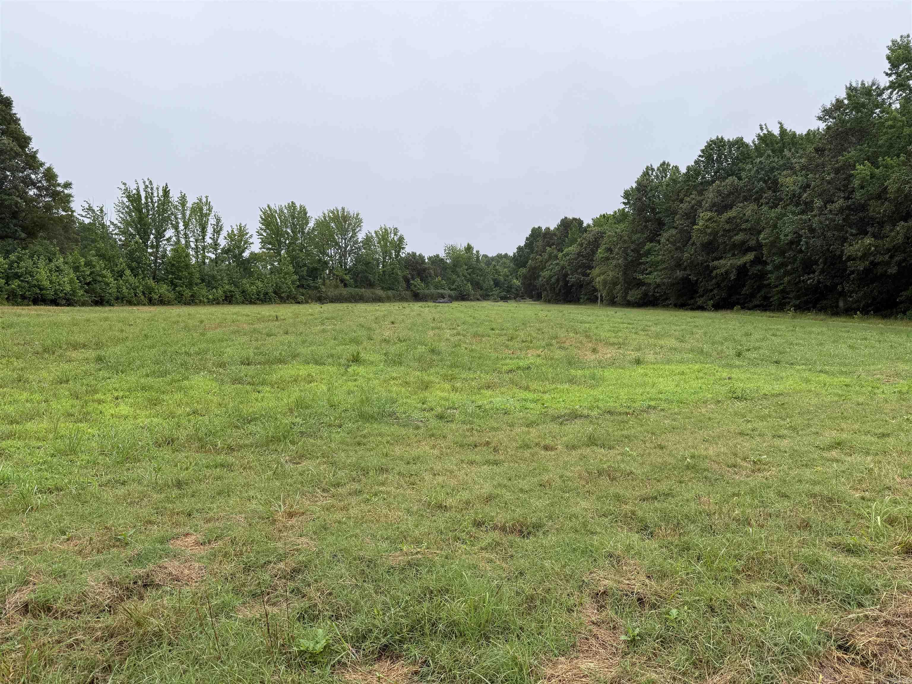 100 Acres Highway 34 West  Beech Grove, AR