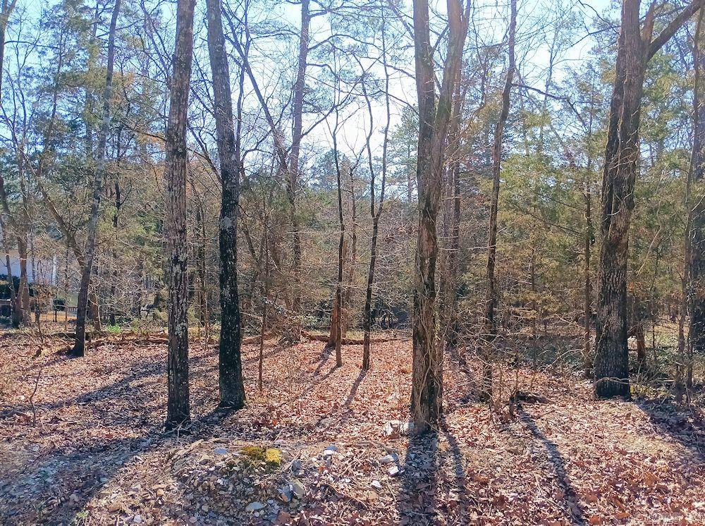 Block 3 Lot 34 Aracena  Hot Springs Village, AR