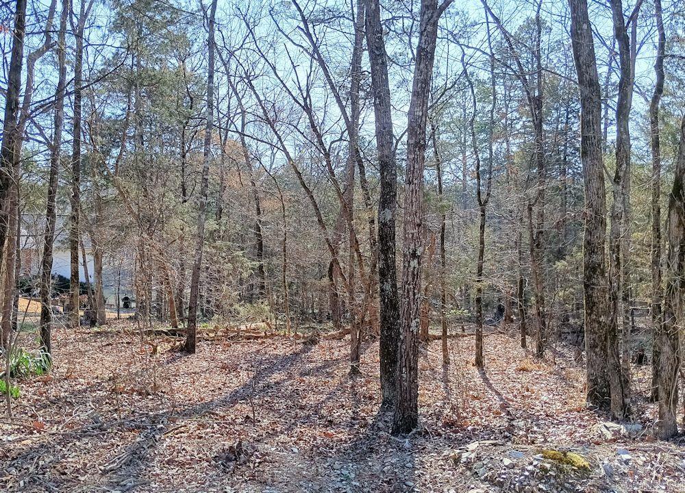 Block 3 Lot 34 Aracena  Hot Springs Village, AR