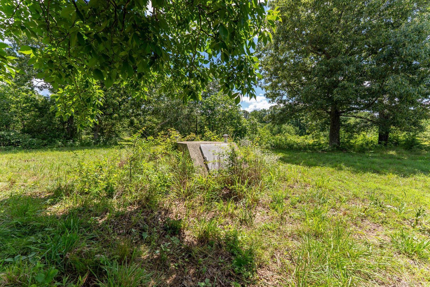 538 Pleasant Run  Mammoth Spring, AR