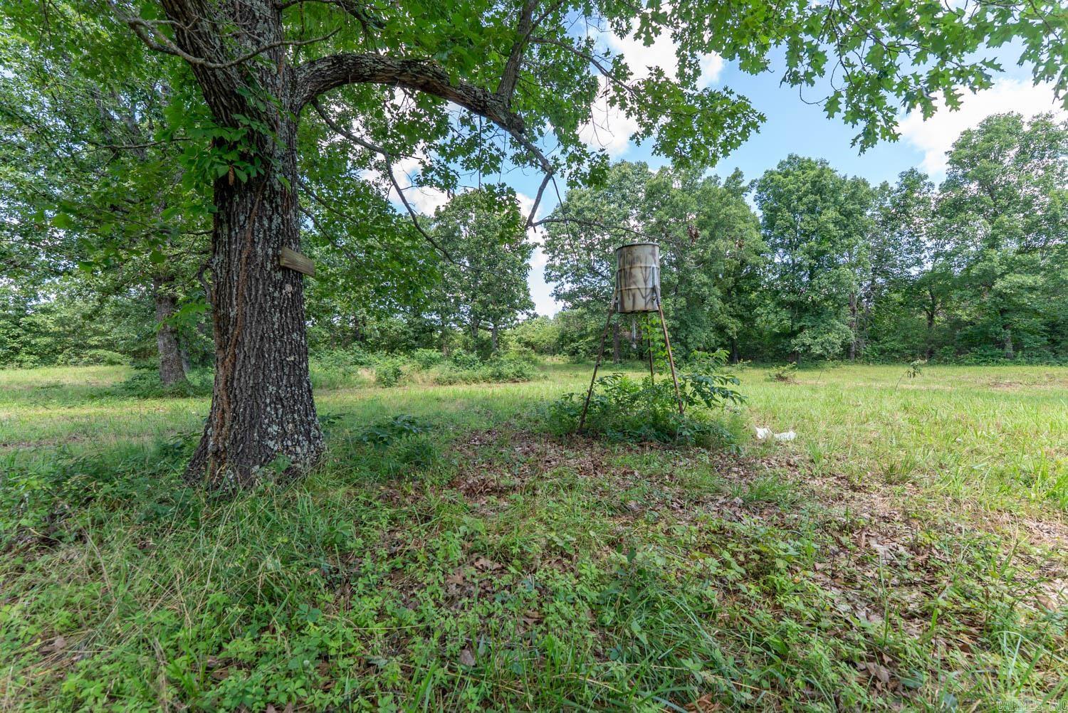 538 Pleasant Run  Mammoth Spring, AR