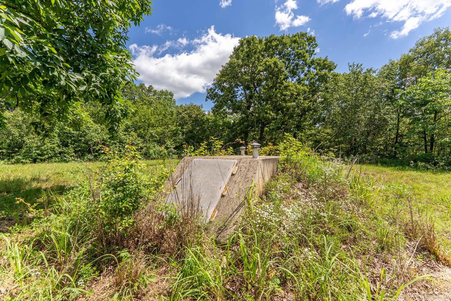 538 Pleasant Run  Mammoth Spring, AR