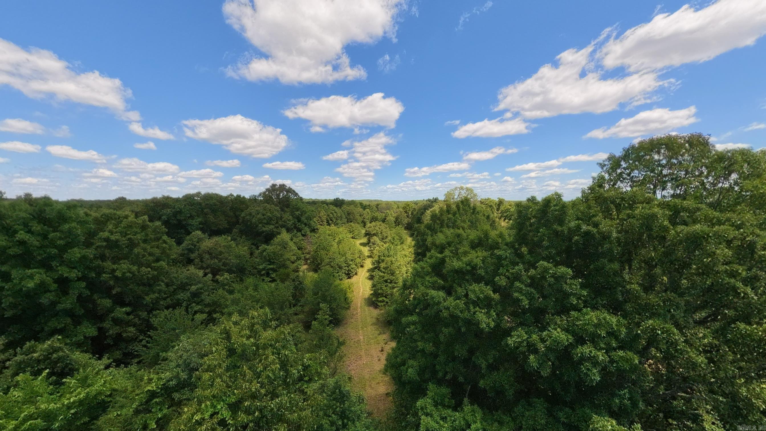 538 Pleasant Run  Mammoth Spring, AR