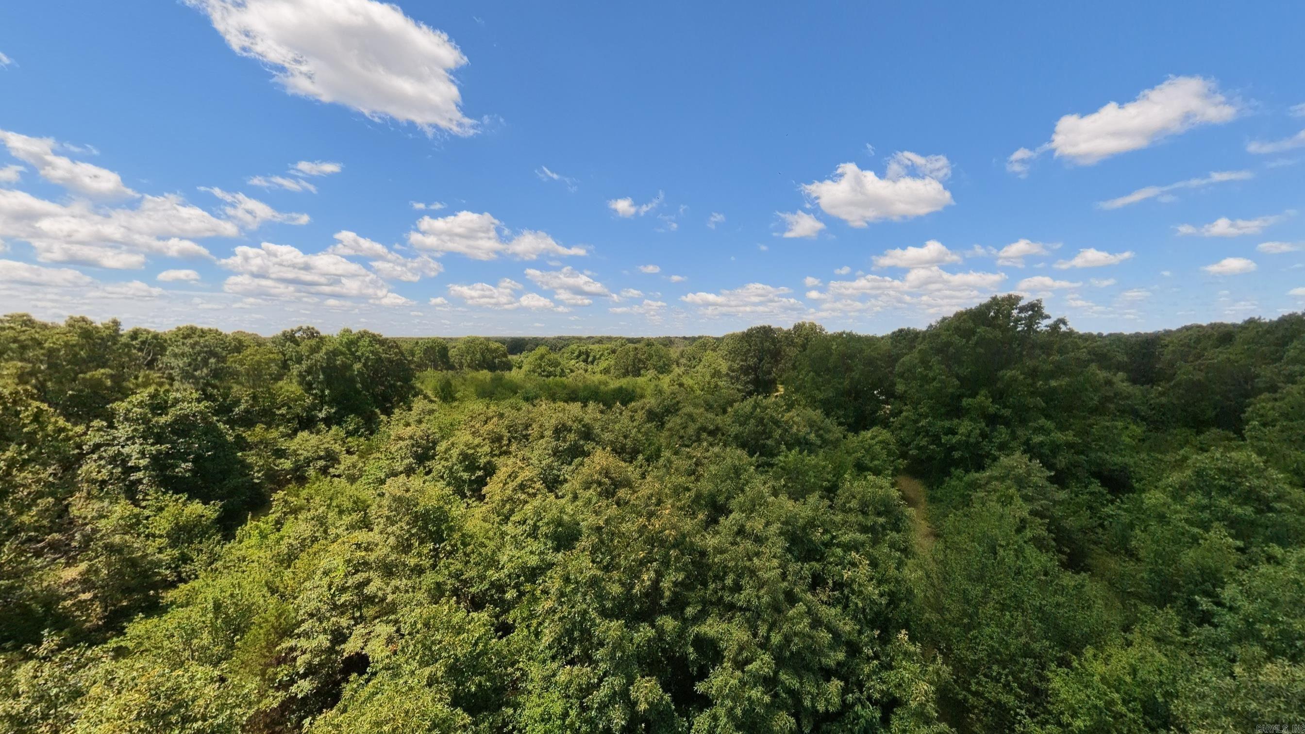 538 Pleasant Run  Mammoth Spring, AR