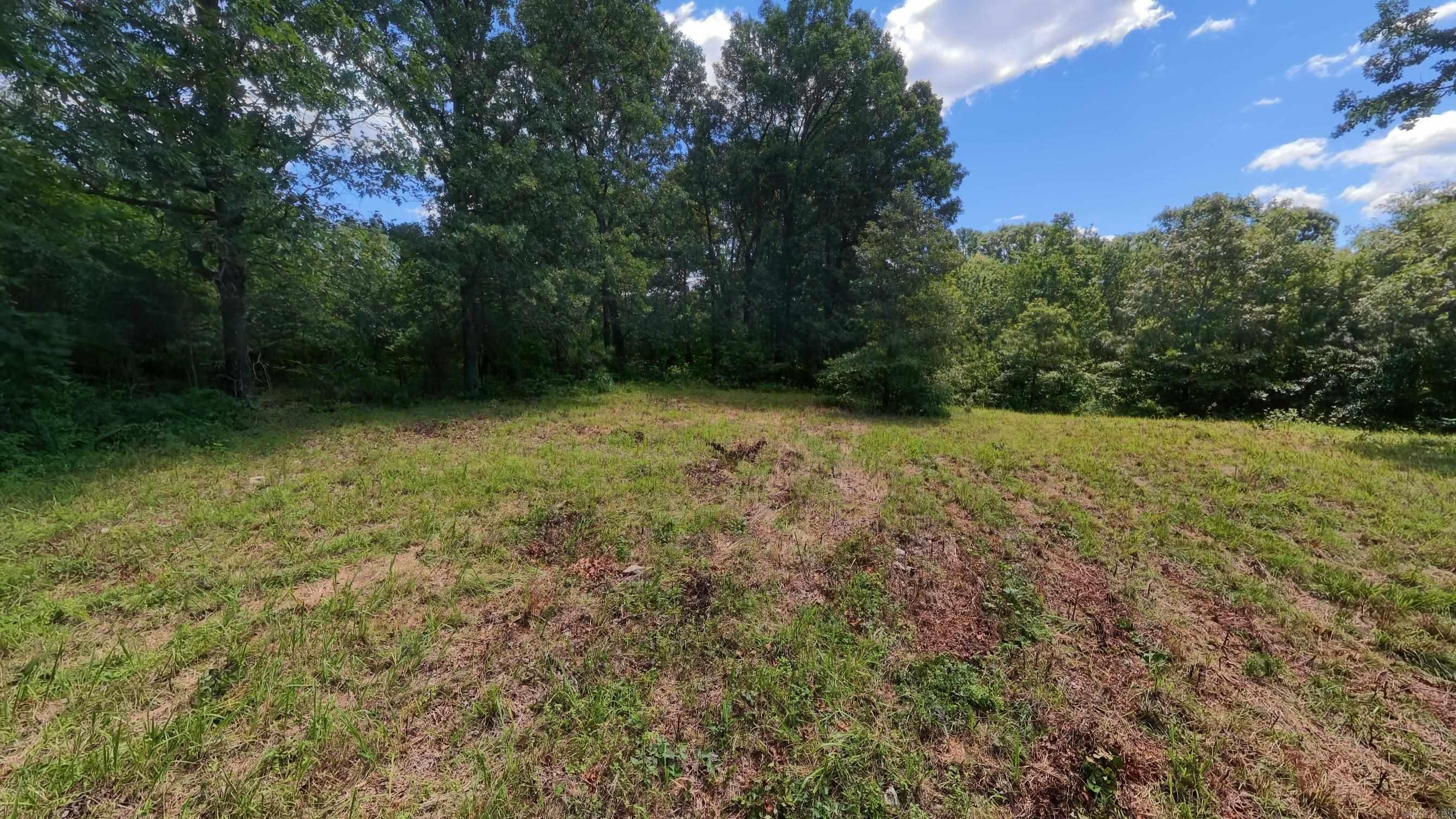 538 Pleasant Run  Mammoth Spring, AR