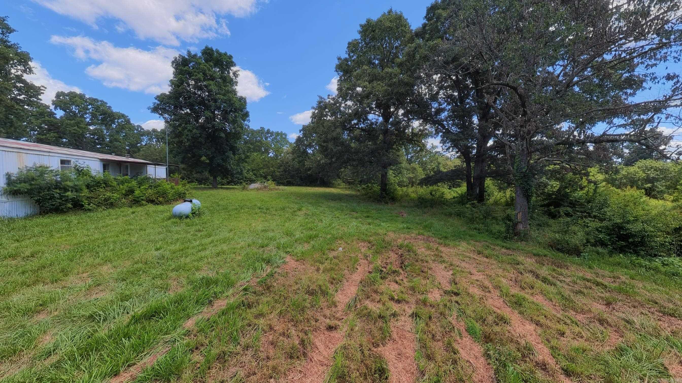 538 Pleasant Run  Mammoth Spring, AR