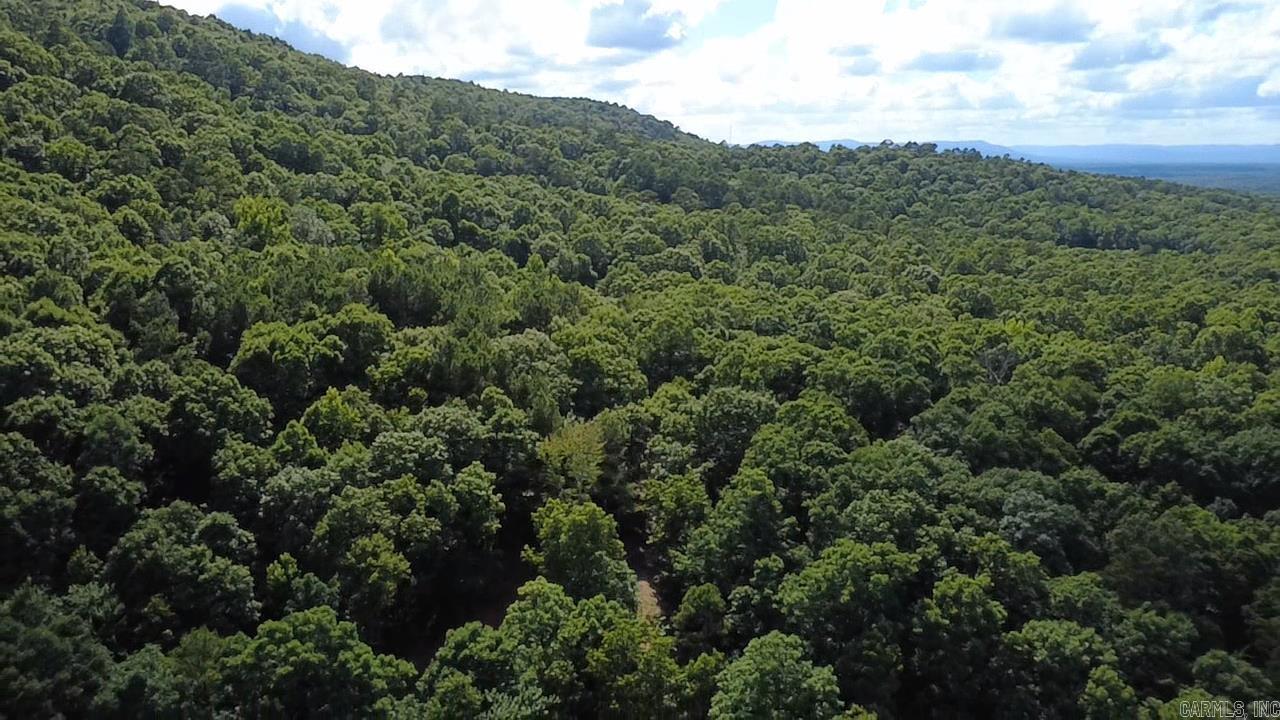 Unk Timber Lane  Mena, AR