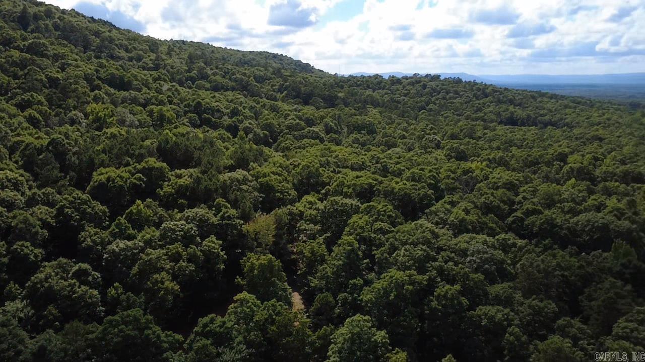 Unk Timber Lane  Mena, AR