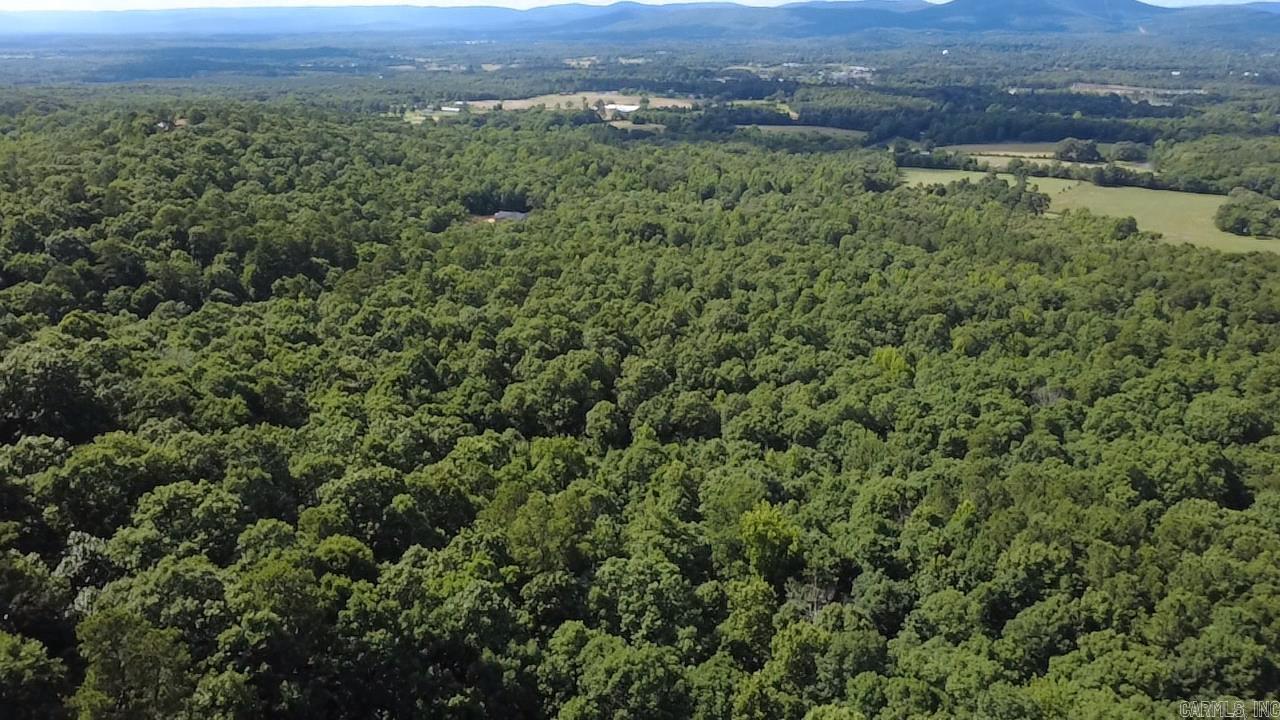 Unk Timber Lane  Mena, AR