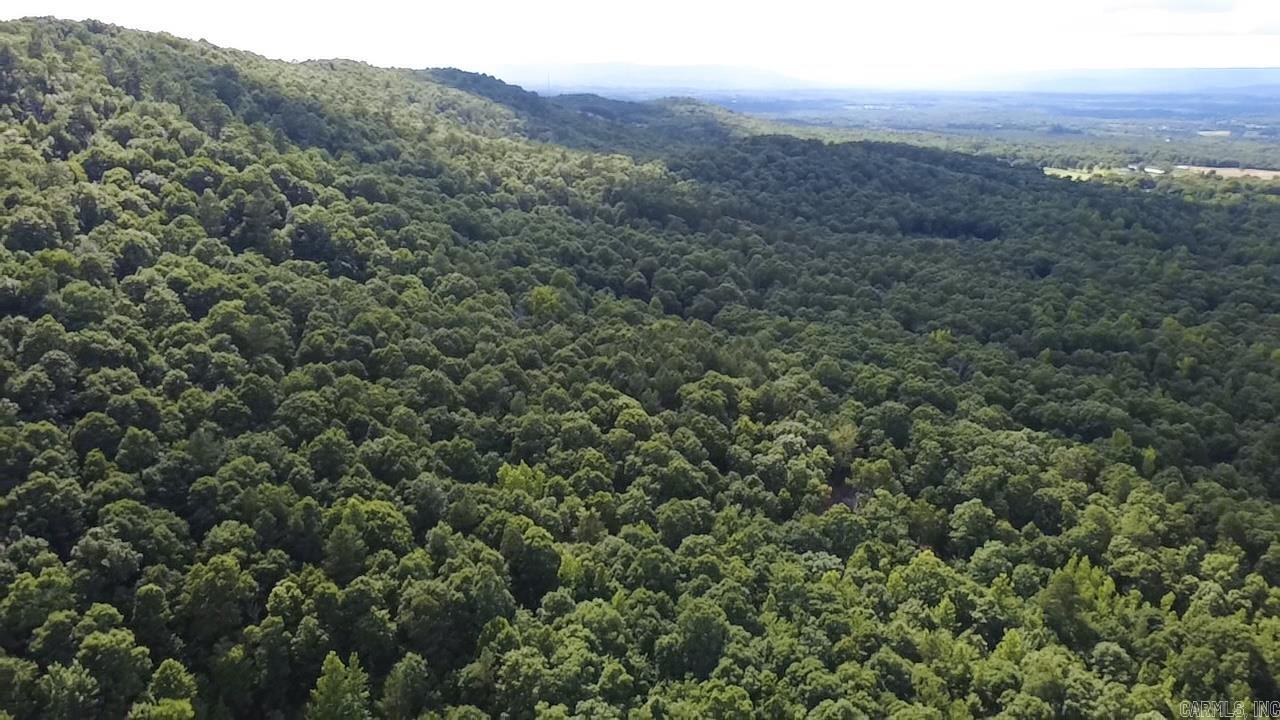 Unk Timber Lane  Mena, AR