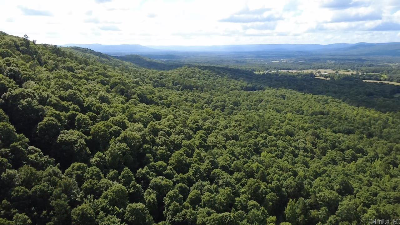 Unk Timber Lane  Mena, AR