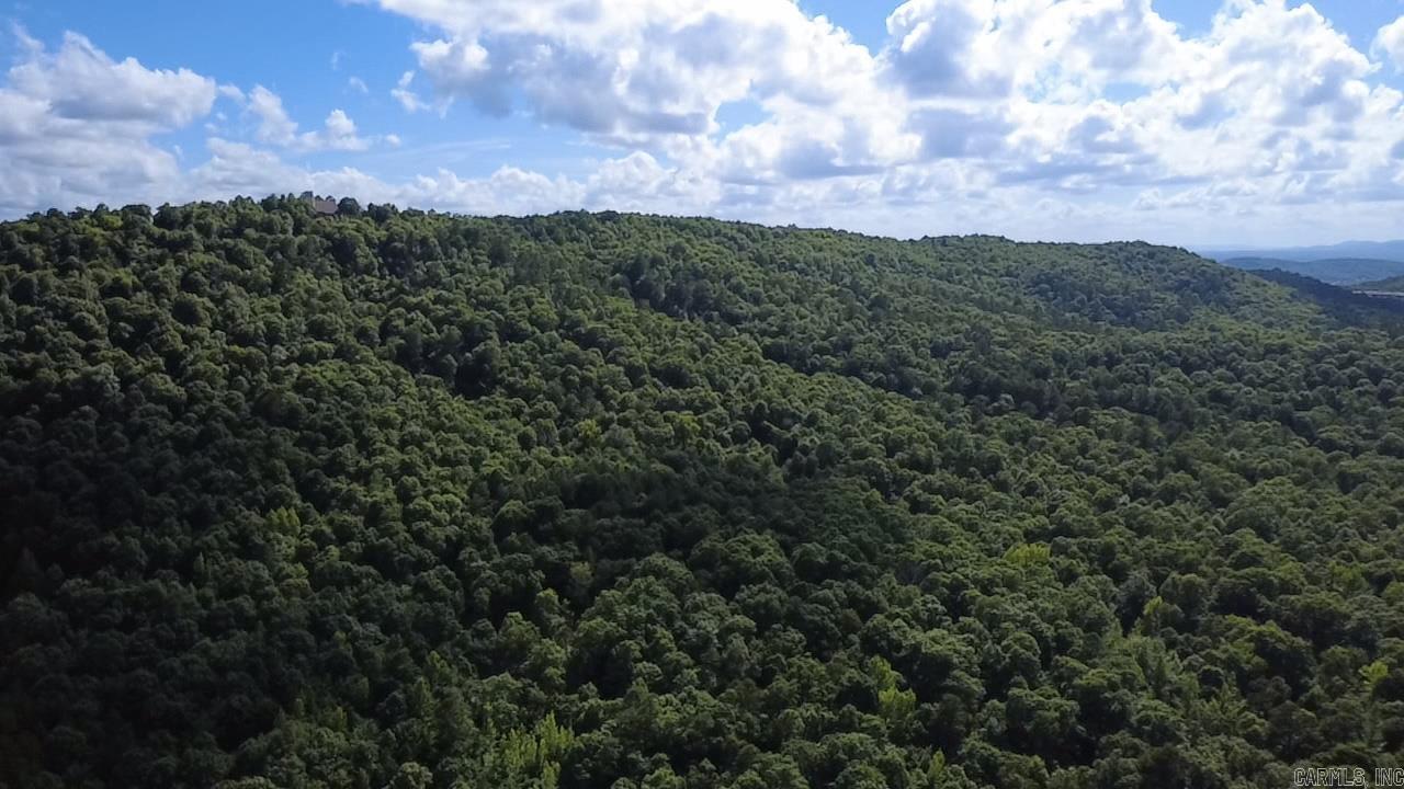 Unk Timber Lane  Mena, AR
