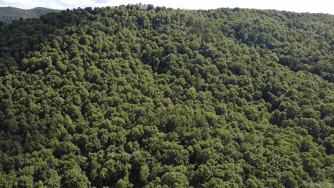 Unk Timber Lane  Mena, AR