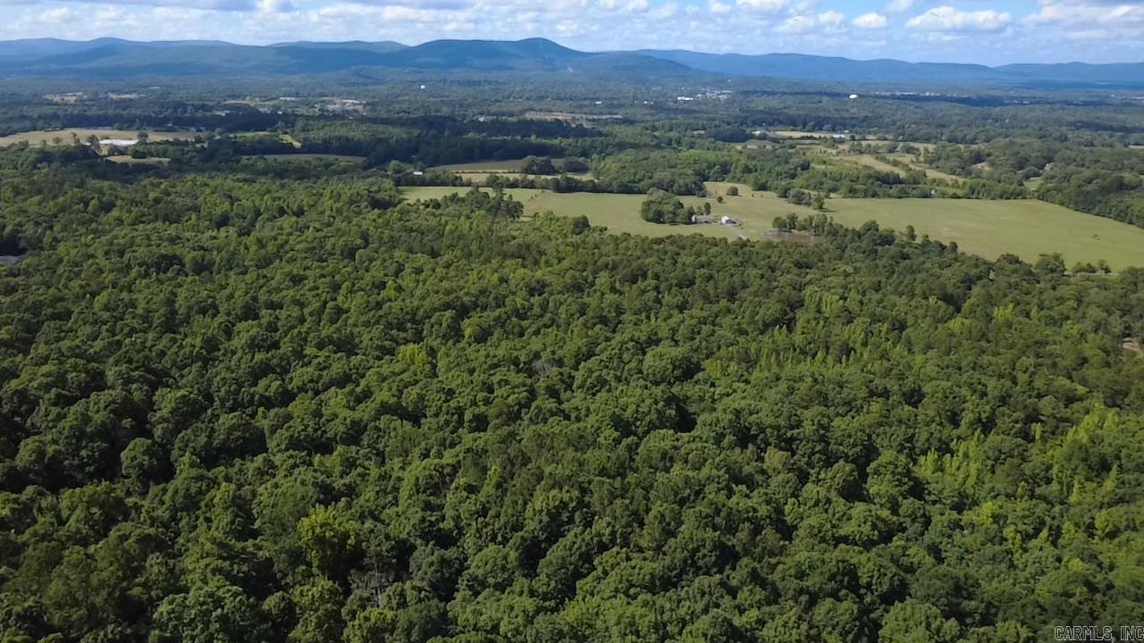 Unk Timber Lane  Mena, AR