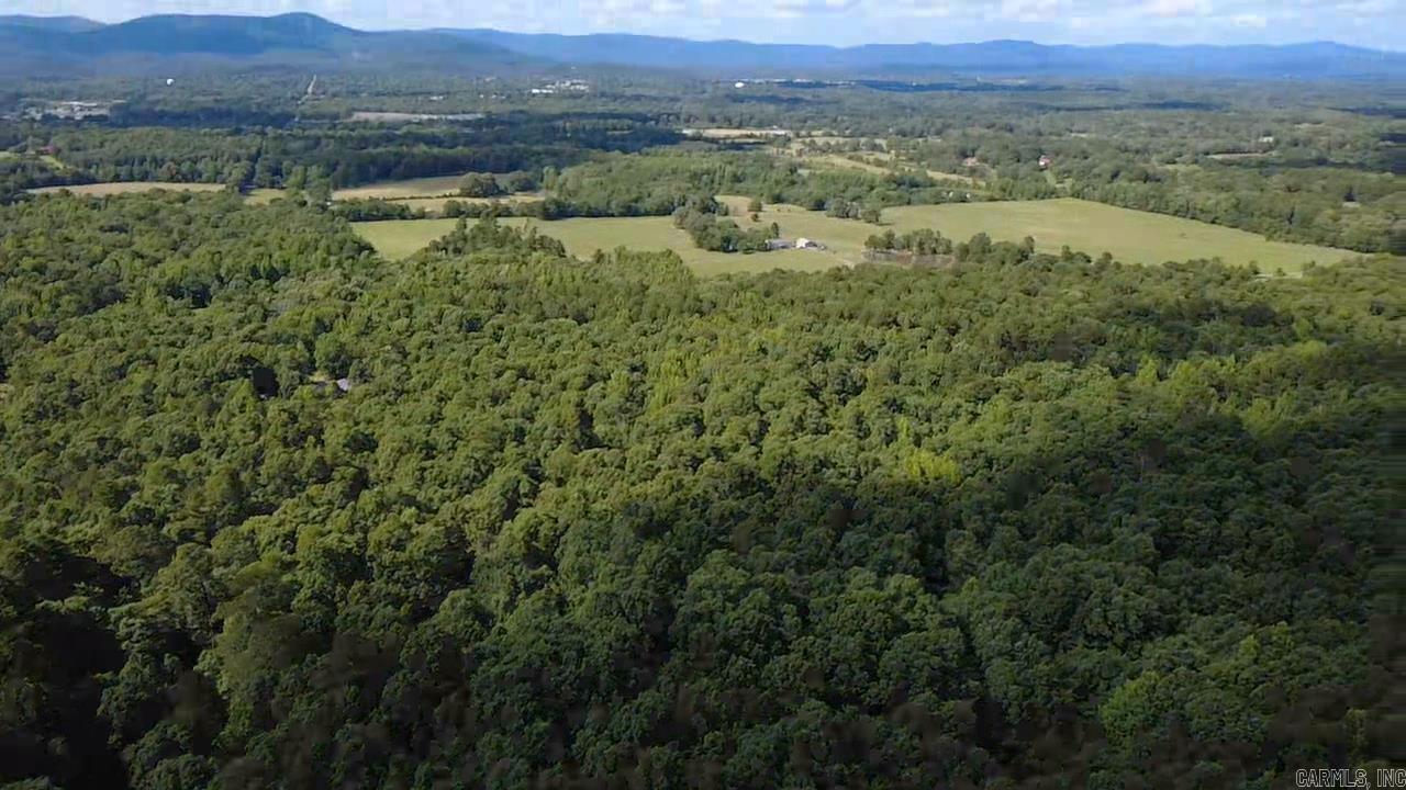 Unk Timber Lane  Mena, AR