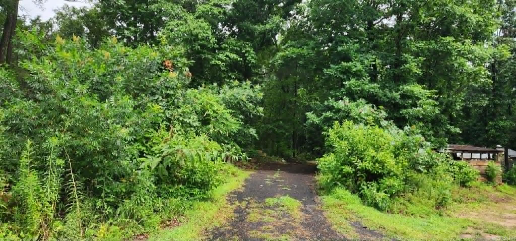 114 Timber Heights  Atkins, AR