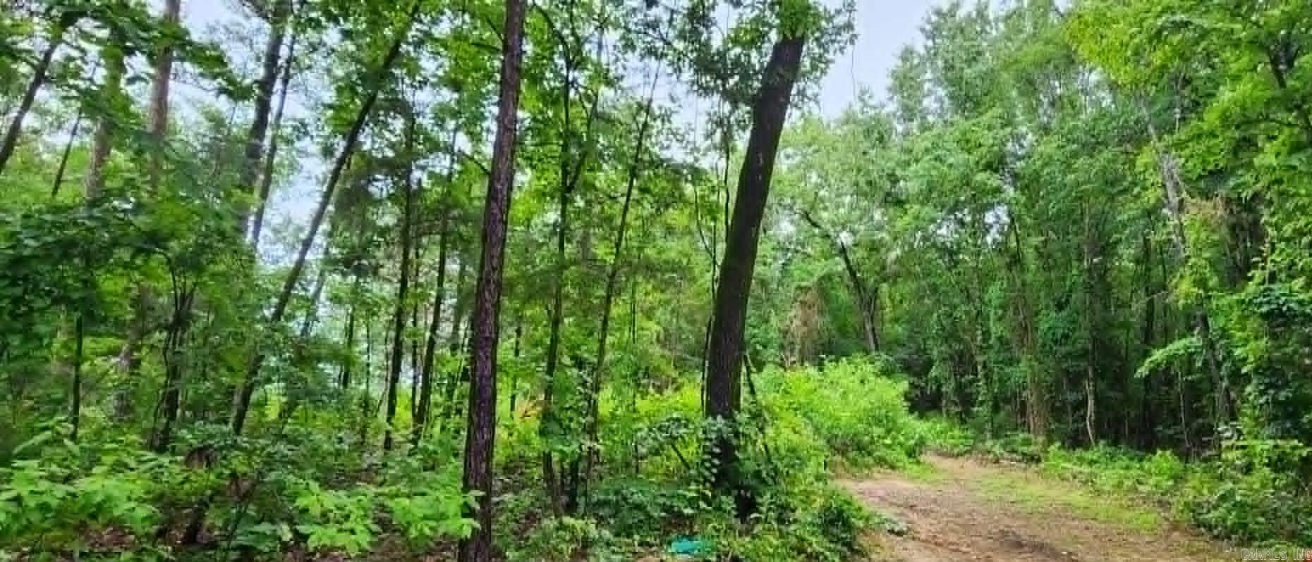 114 Timber Heights  Atkins, AR