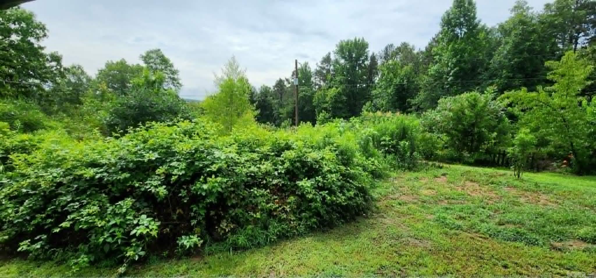 114 Timber Heights  Atkins, AR
