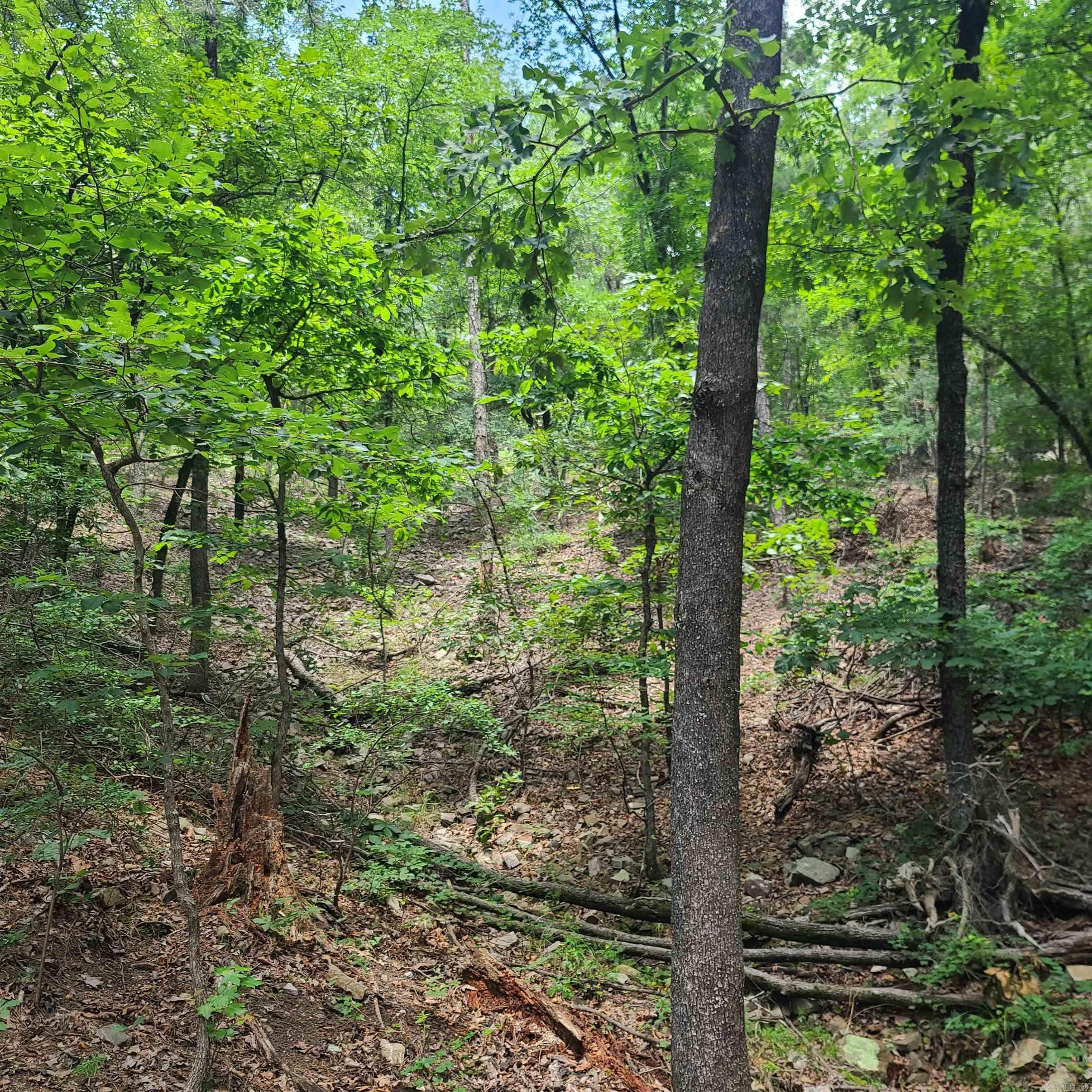 00 Dorothy Lane  Ward, AR