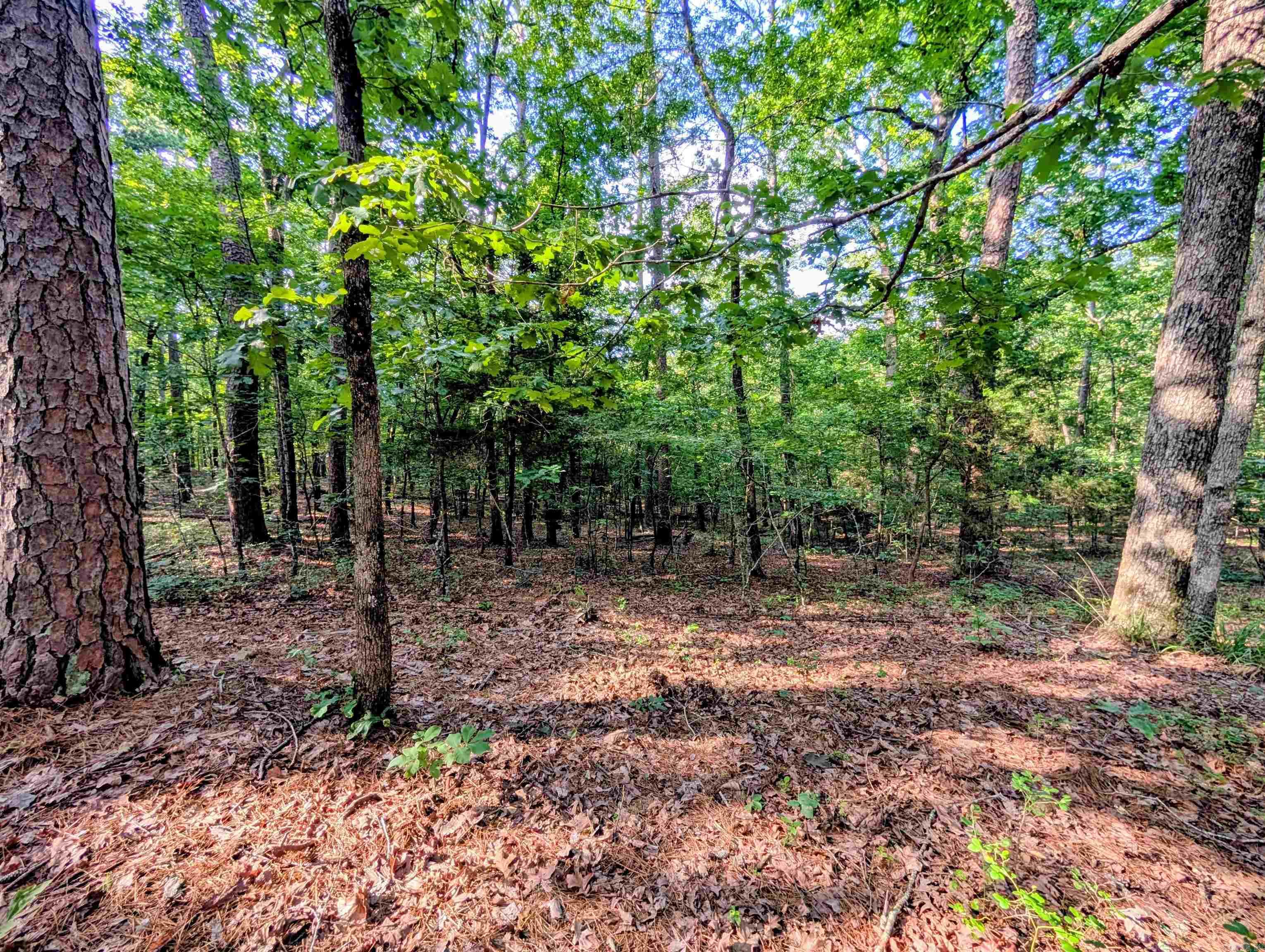 198 Cathedral Pines  Mena, AR