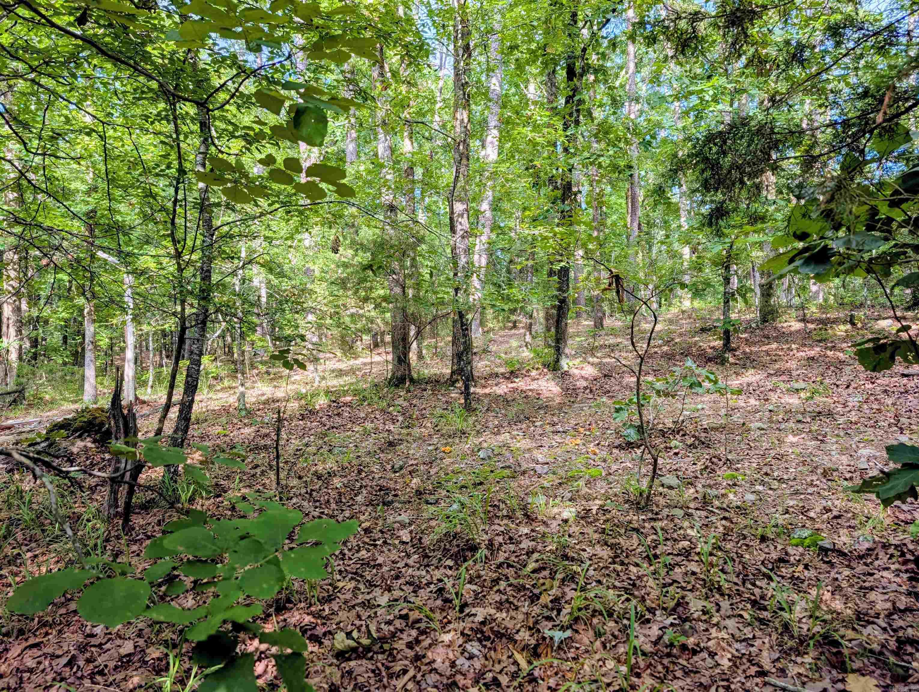 198 Cathedral Pines  Mena, AR