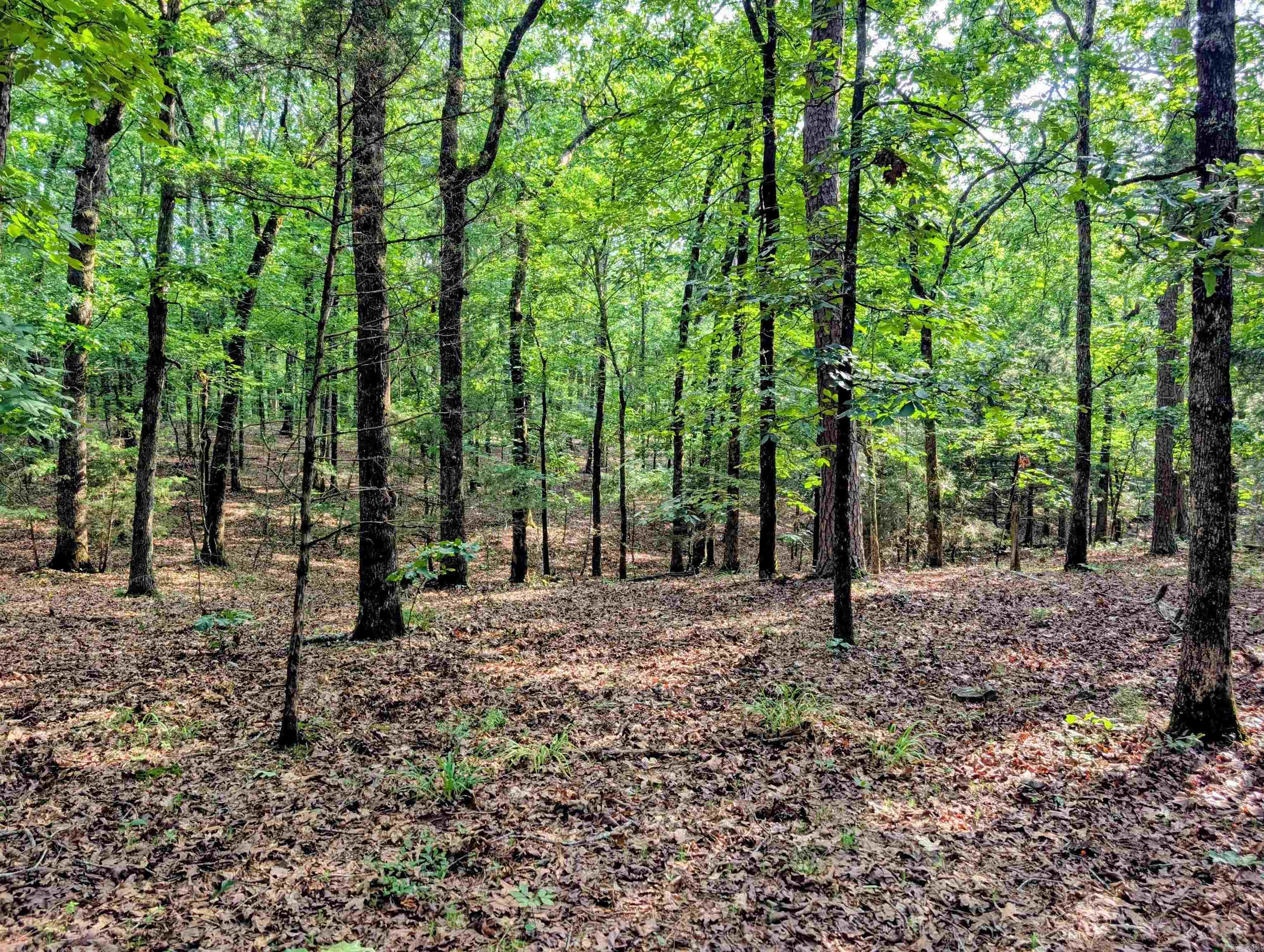 198 Cathedral Pines  Mena, AR