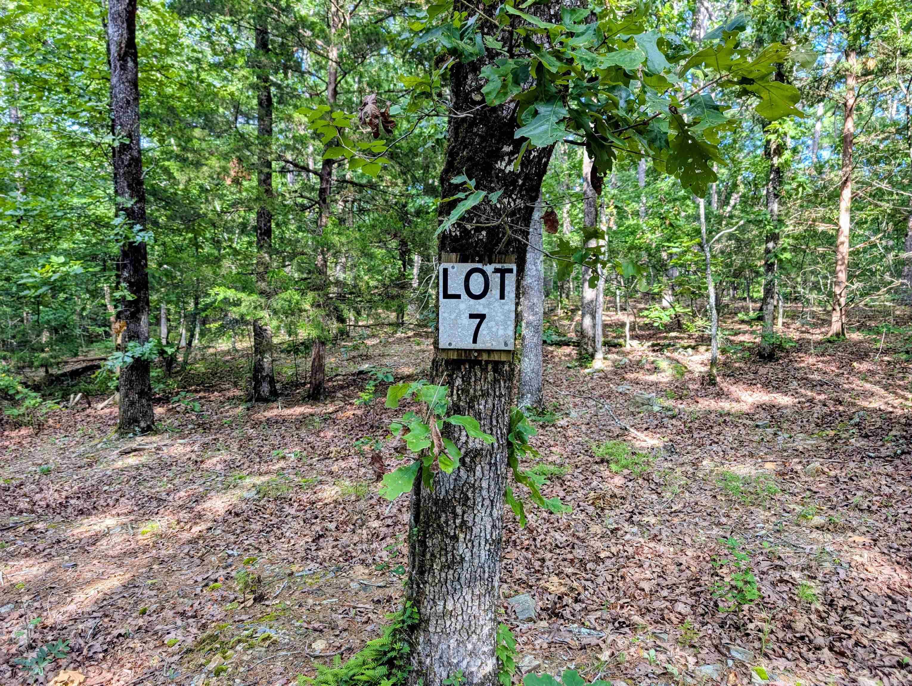 198 Cathedral Pines  Mena, AR