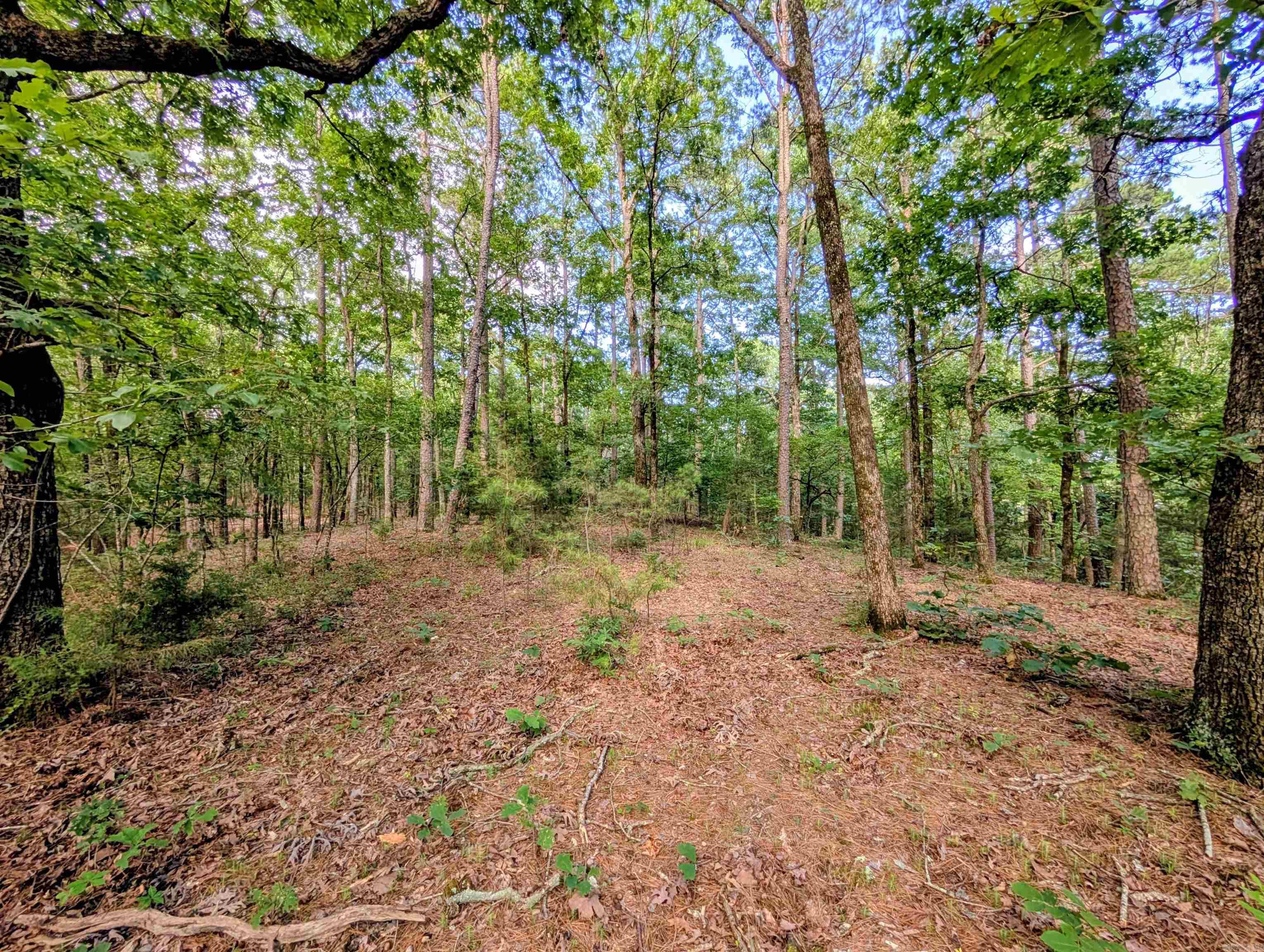 198 Cathedral Pines  Mena, AR