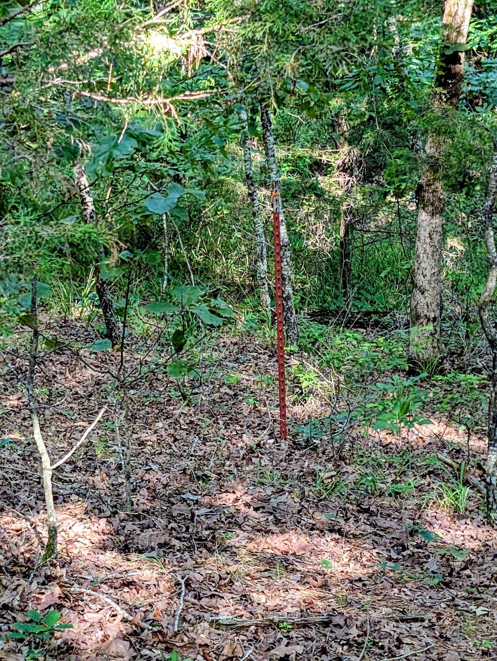 198 Cathedral Pines  Mena, AR