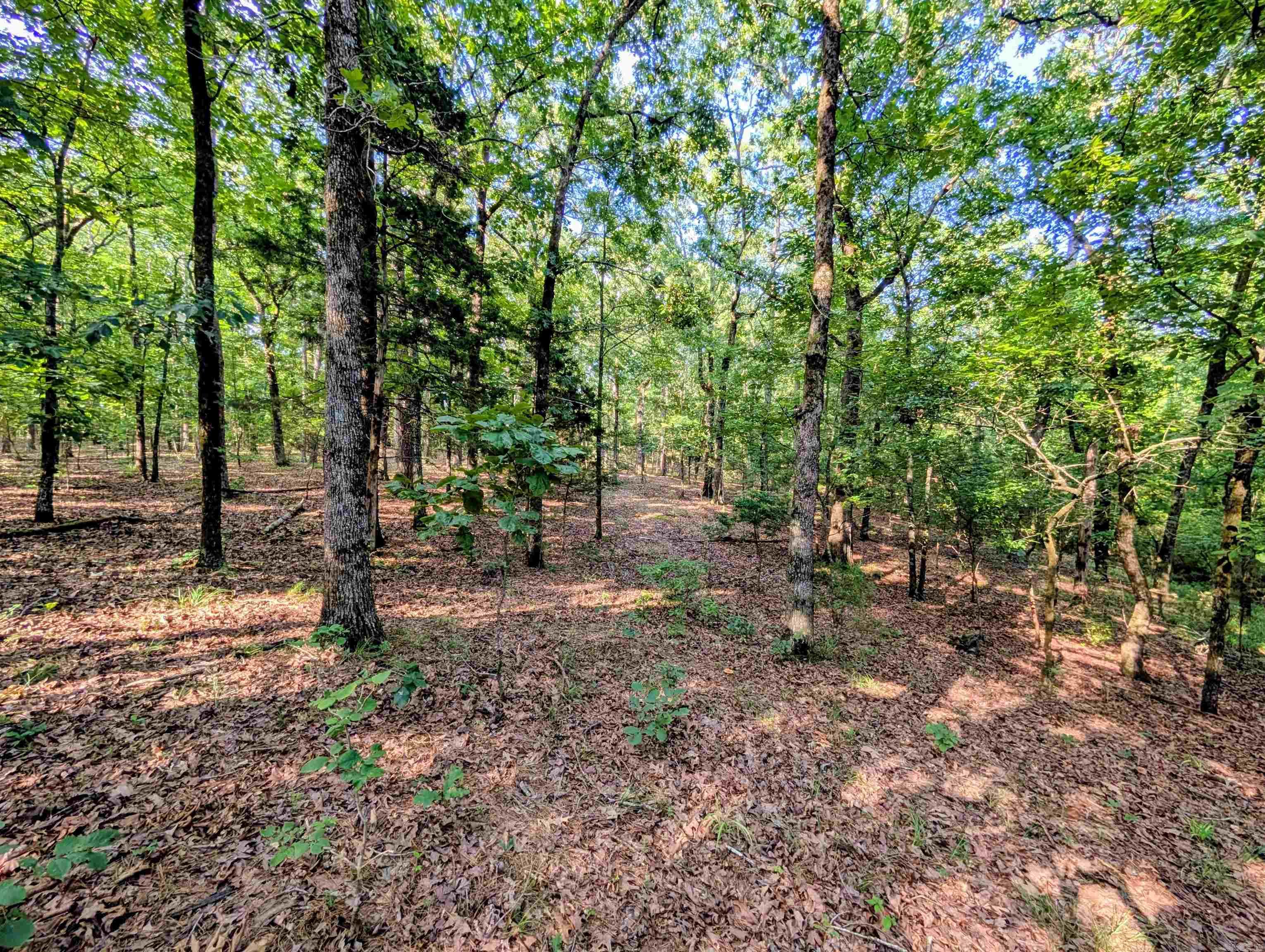 198 Cathedral Pines  Mena, AR