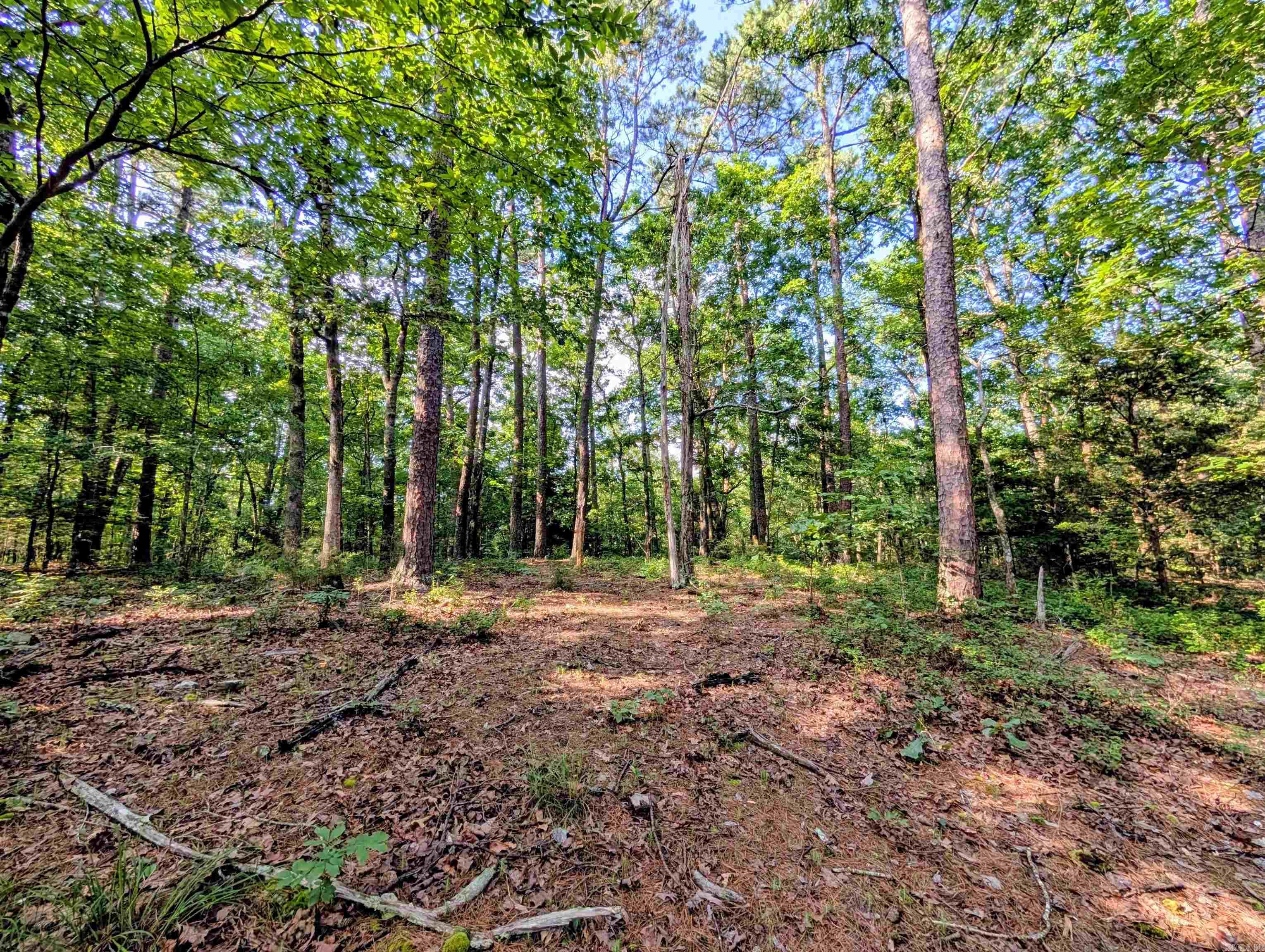 198 Cathedral Pines  Mena, AR