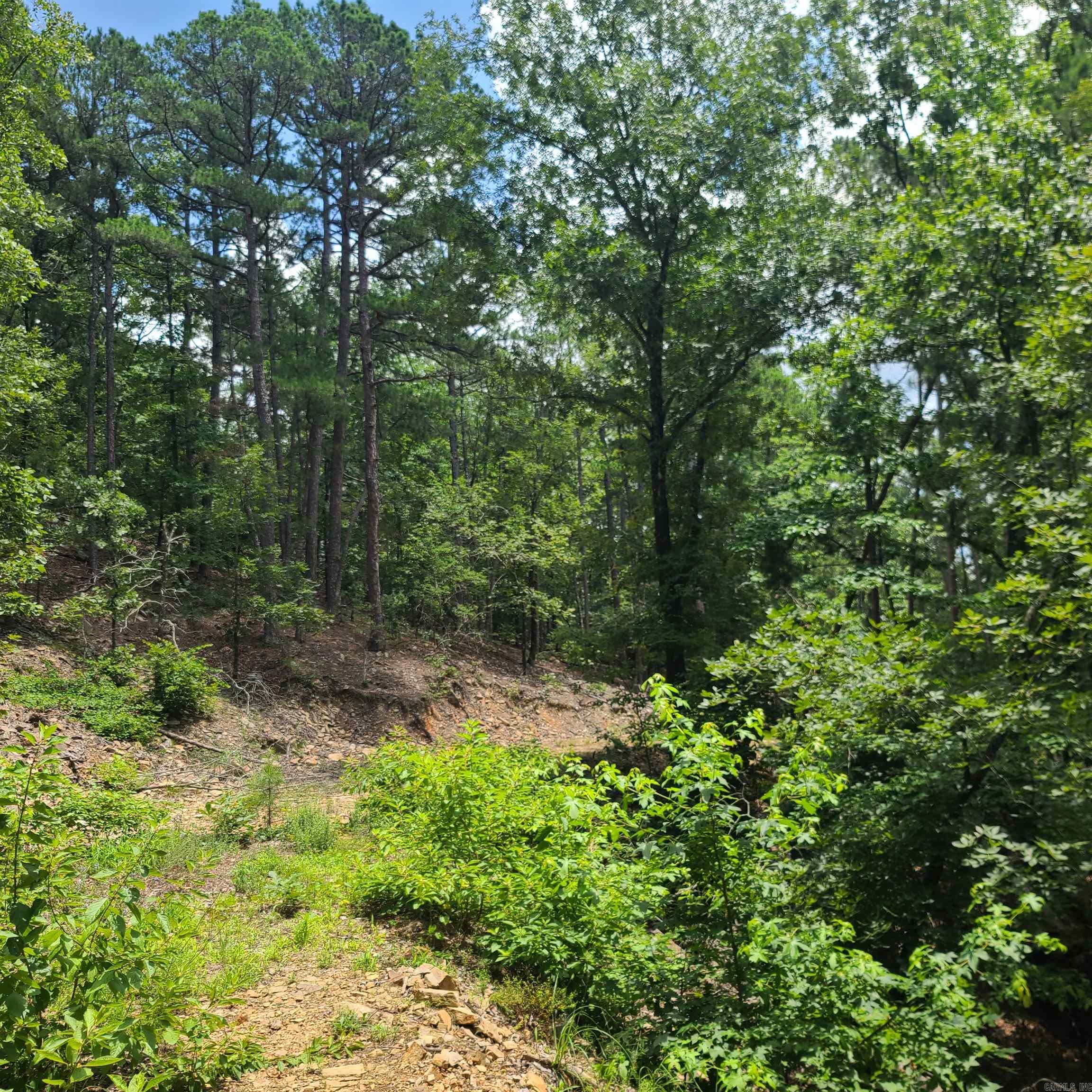 000 Cedar Glade Rd- Lot #WP000  Hot Springs, AR