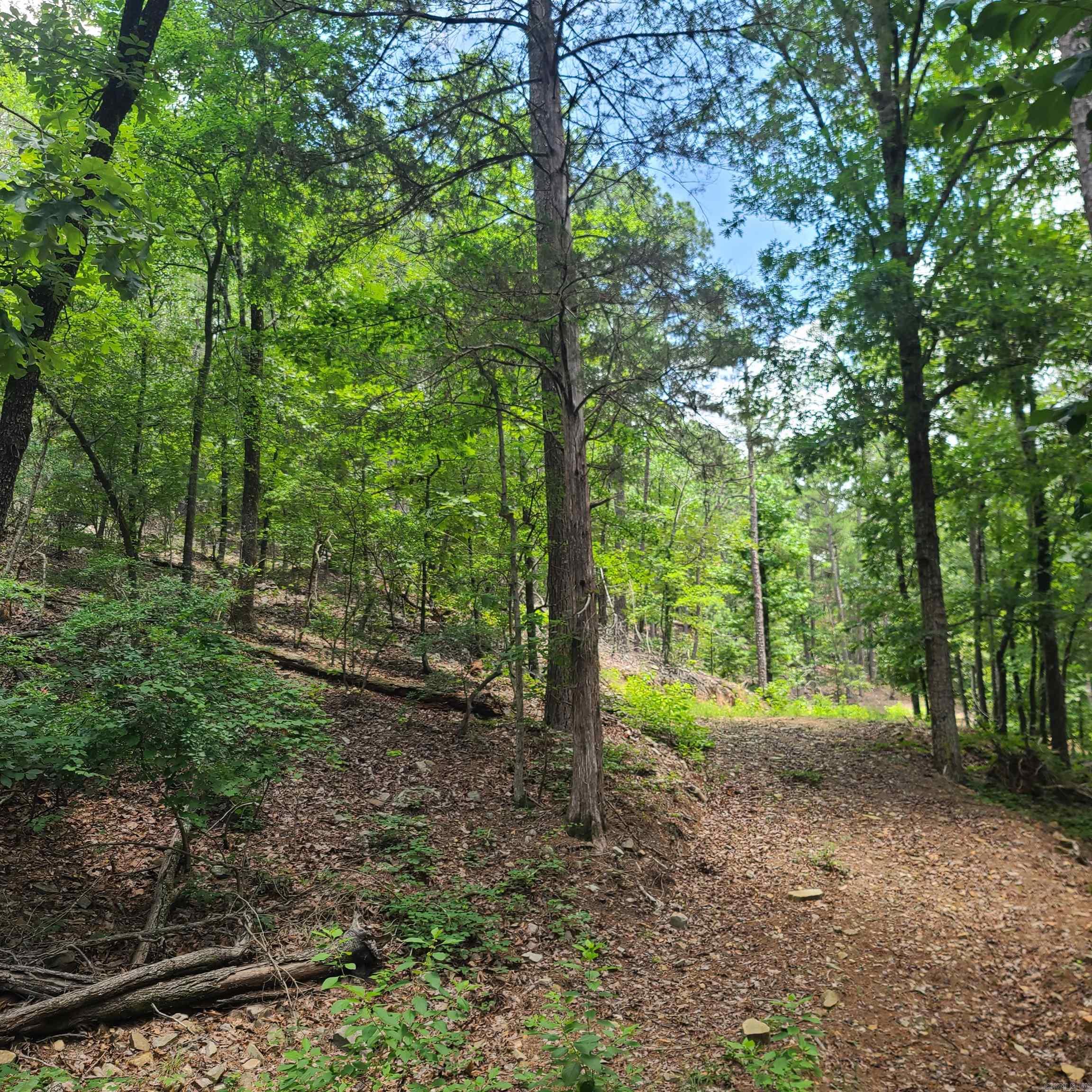 000 Cedar Glade Rd- Lot #WP000  Hot Springs, AR