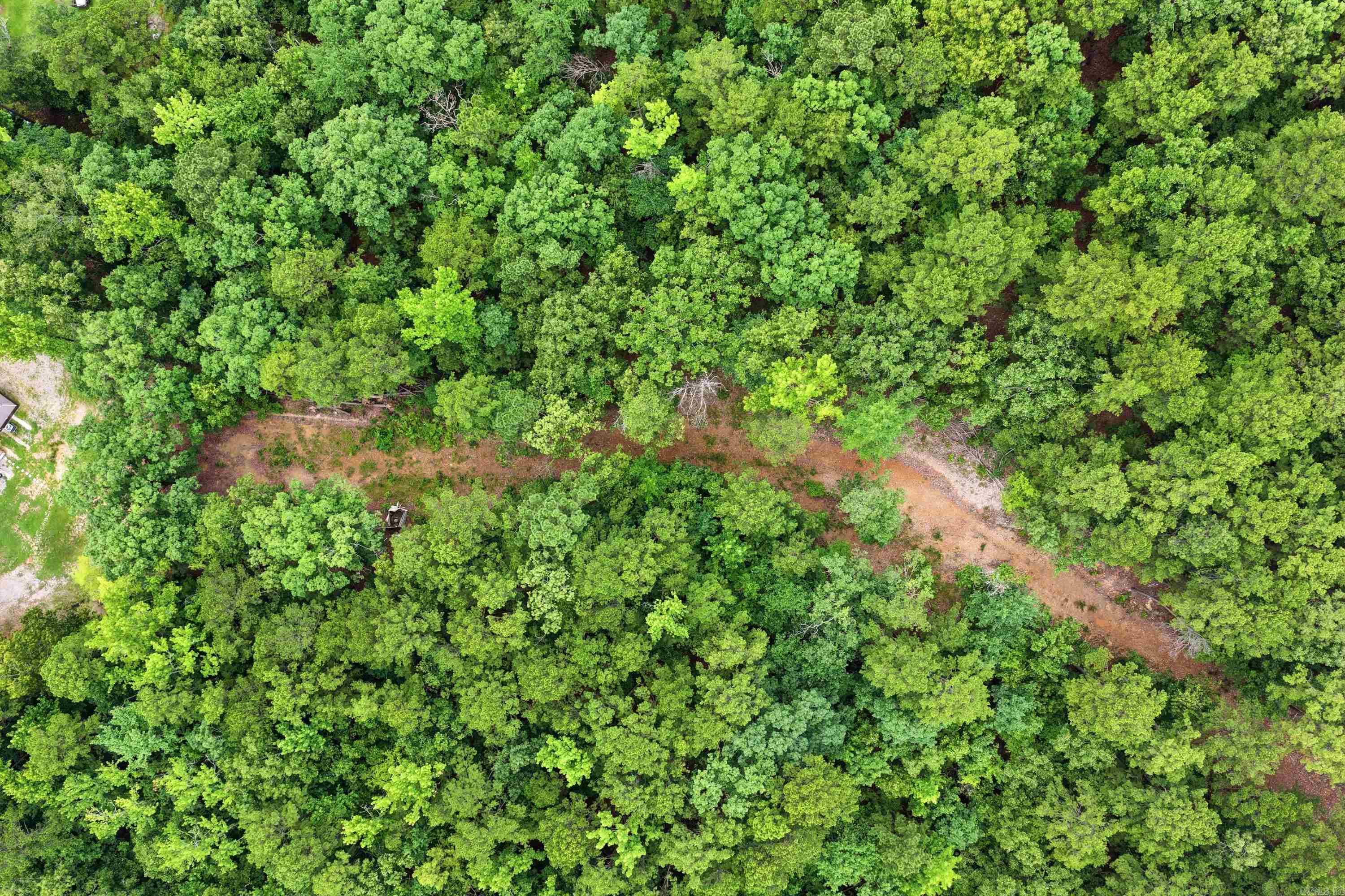 000 Cedar Glade Rd- Lot #WP000  Hot Springs, AR