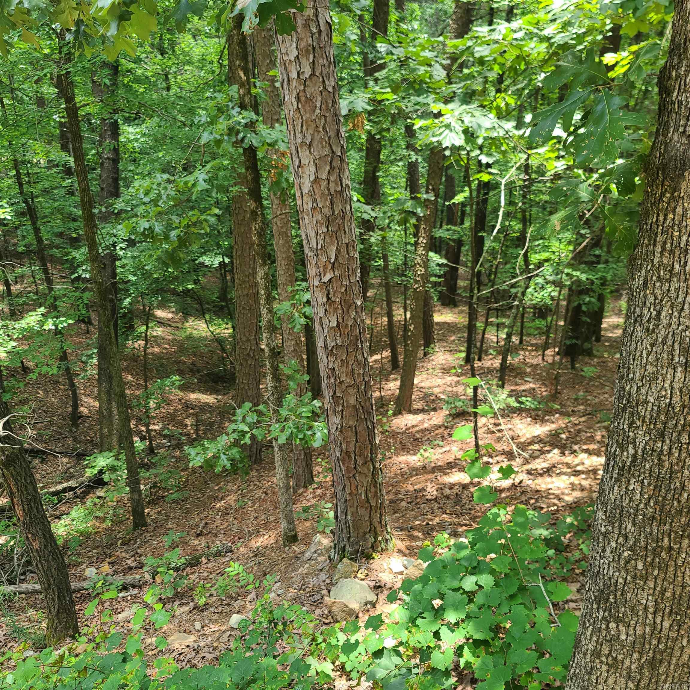 000 Cedar Glade Rd- Lot #WP000  Hot Springs, AR