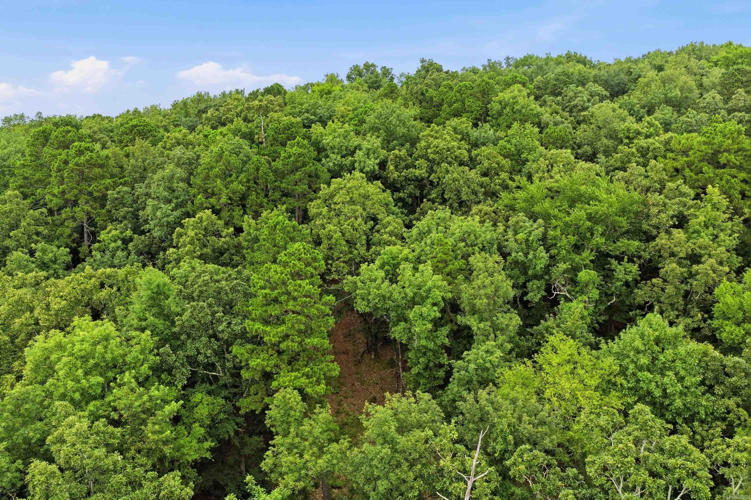 000 Cedar Glade Rd- Lot #WP000  Hot Springs, AR
