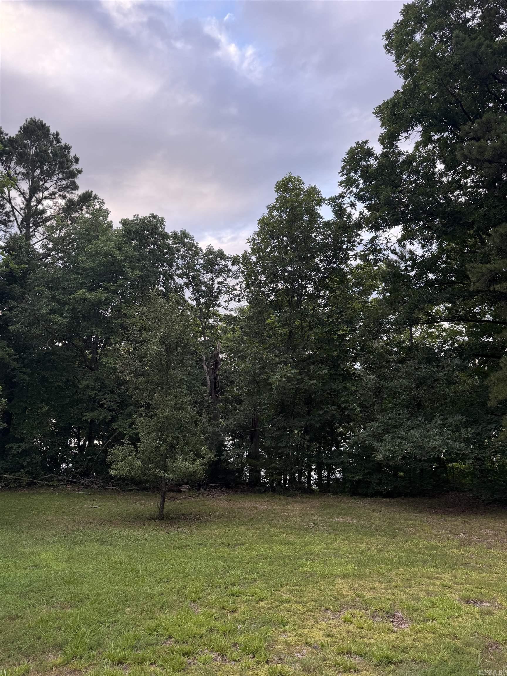 1720 Mountain View Rd  Locust Grove, AR