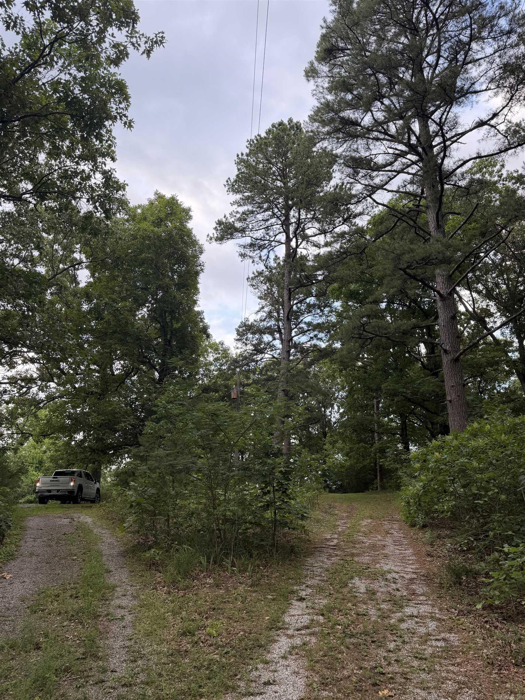 1720 Mountain View Rd  Locust Grove, AR