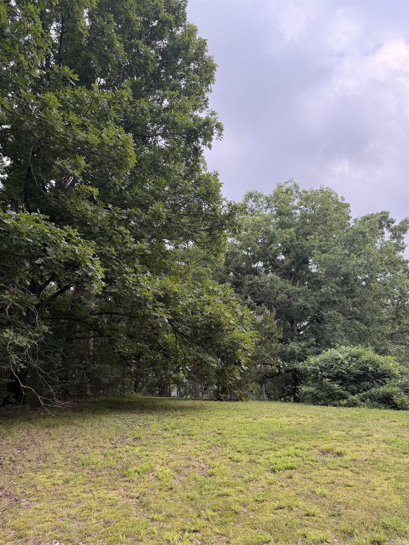 1720 Mountain View Rd  Locust Grove, AR