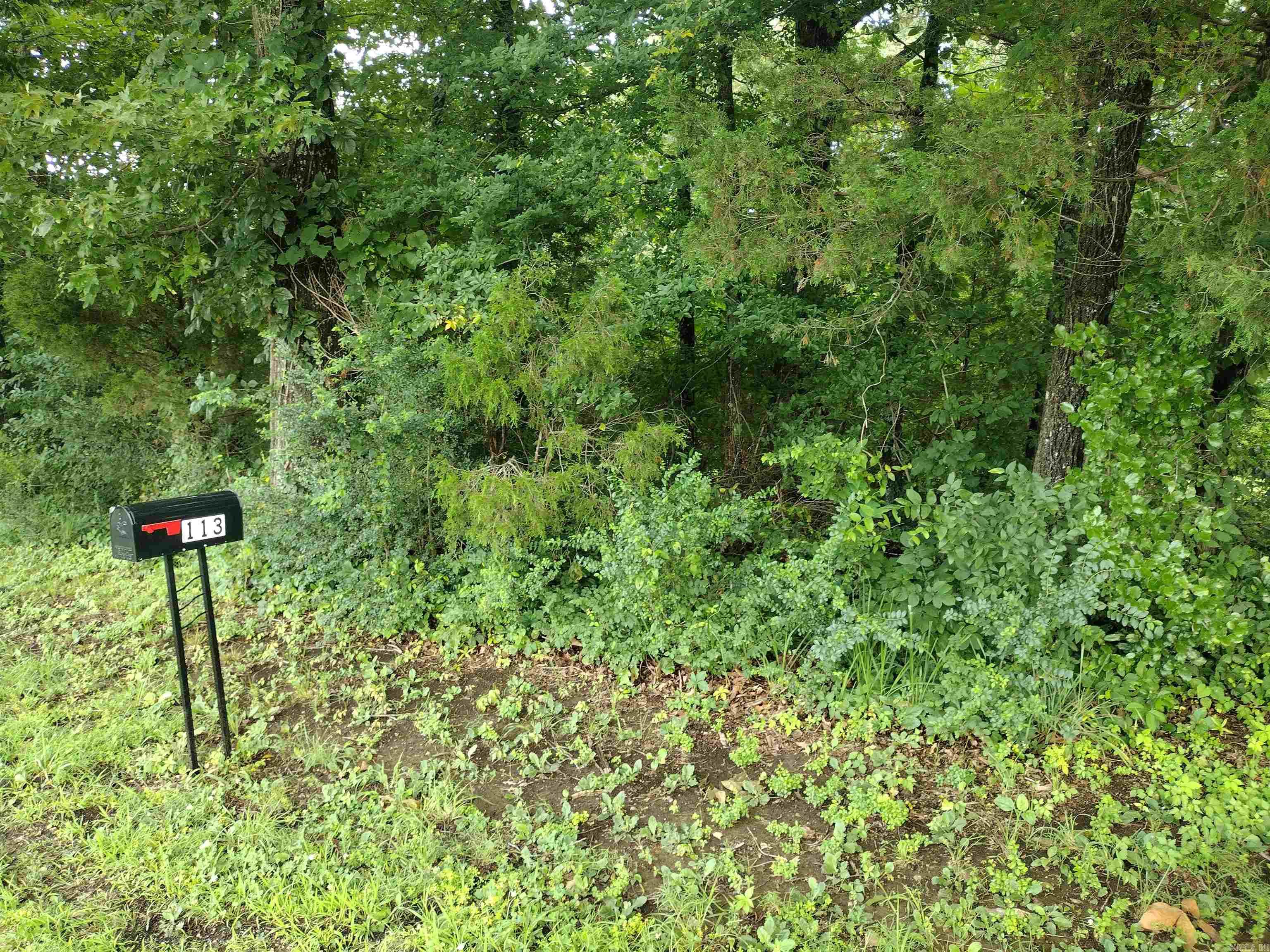 0 Green Meadows rd  Mountain View, AR