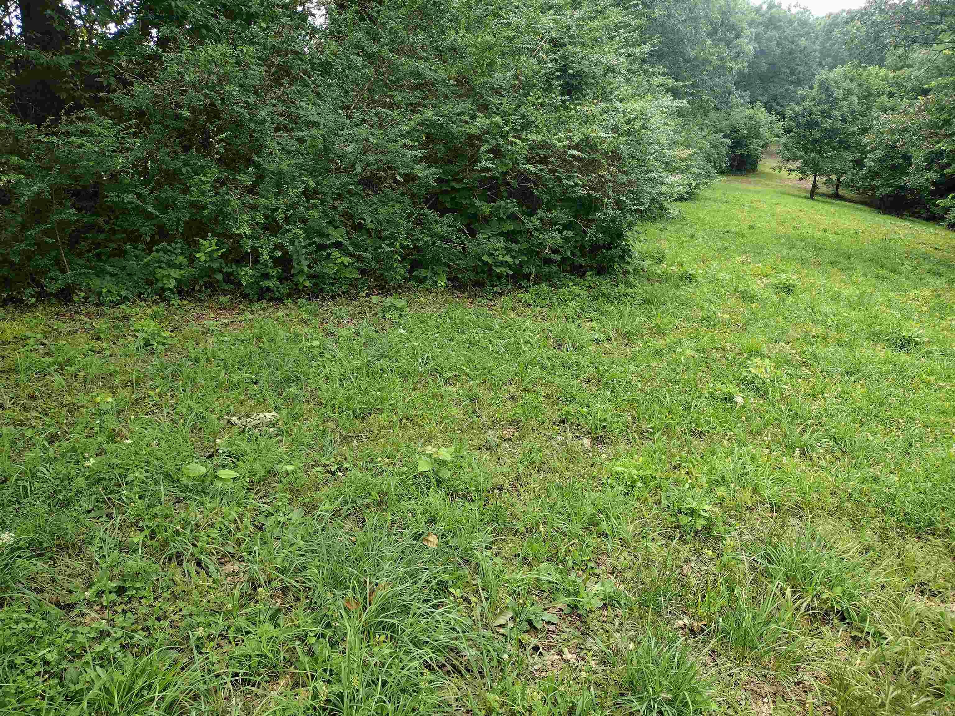 0 Green Meadows rd  Mountain View, AR